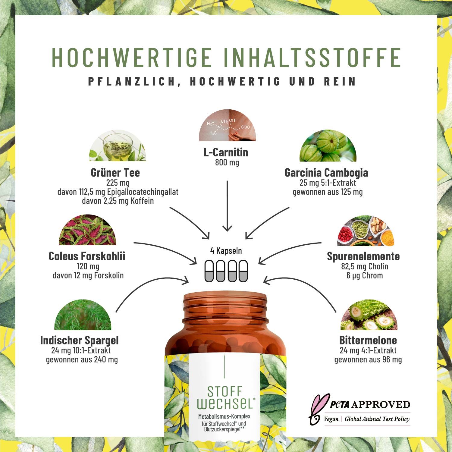 Stoffwechsel mit L-Carnitin und grünem Tee-Extrakt - Naturtreu® 75,24 g Kapseln