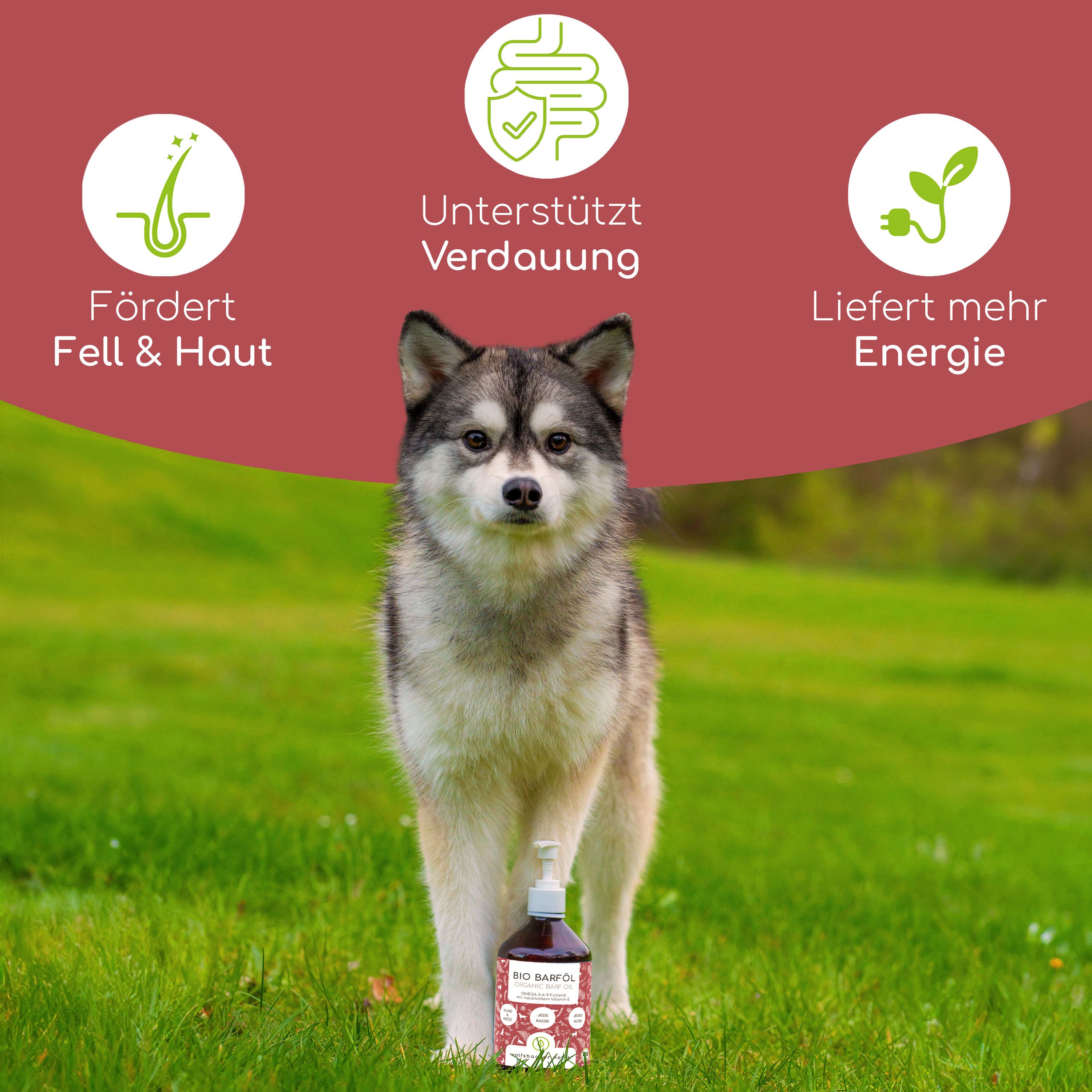 Hund auf Wiese mit Flasche BIO Barföl. Icons: Fell & Haut, Verdauung, Energie. Hintergrund rot.