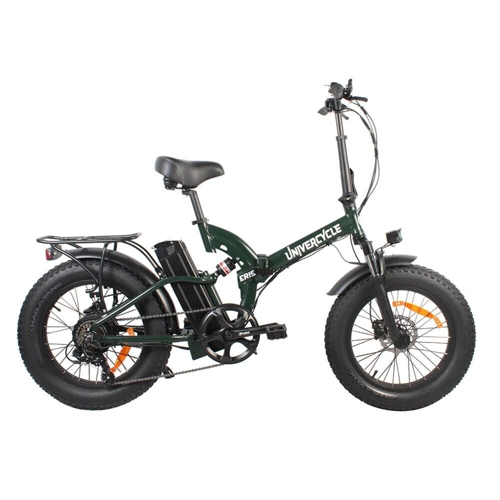 Grünes E-Bike mit breiten Reifen, Gepäckträger und Akku. Marke Univercycle.