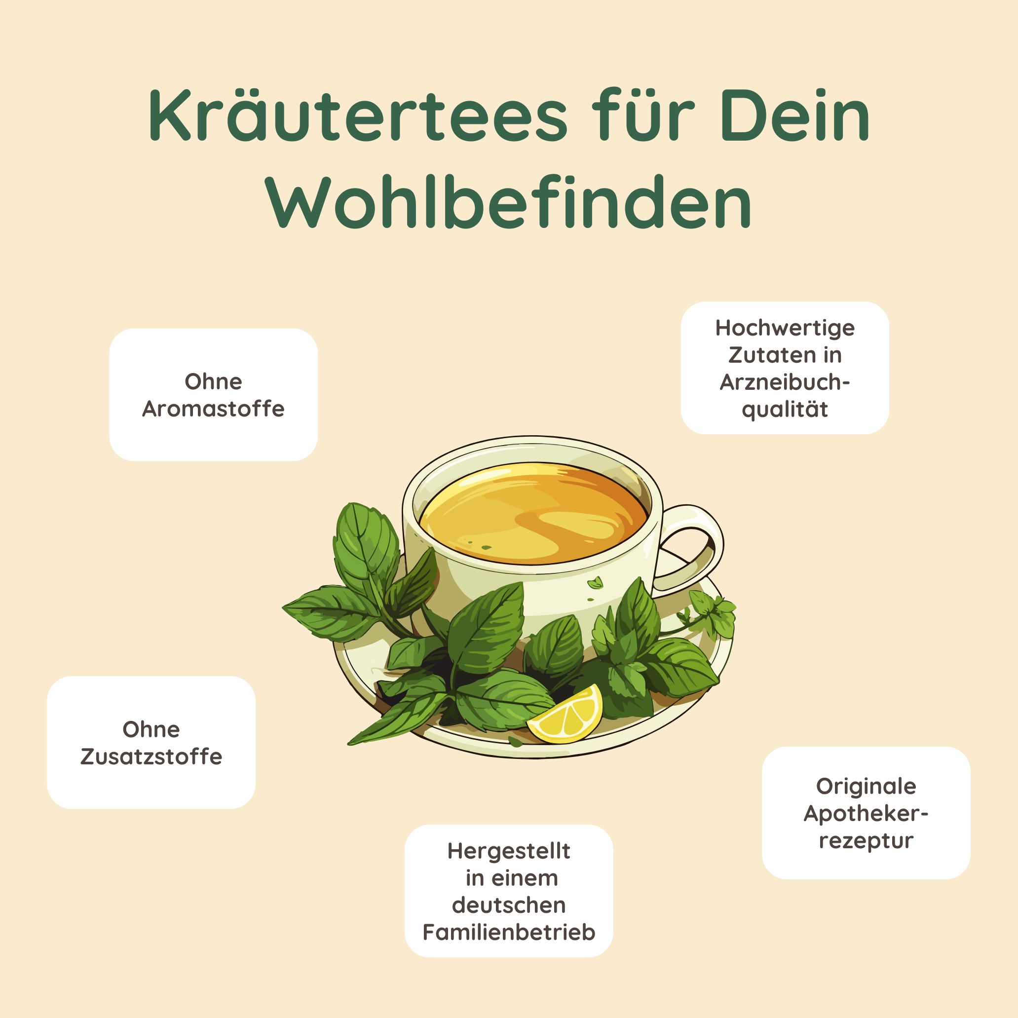 Schlosskräuter Stoffwechseltee mit Brennnessel | Stoffwechsel anregen Brennnesseltee 100% Natürlich