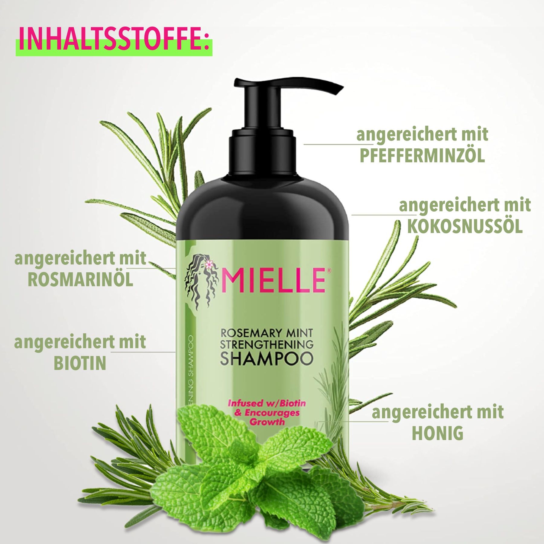 Mielle Organics Haarshampoo Rosmarin Mint für Haarwachstum 1x355 ml Shampoo