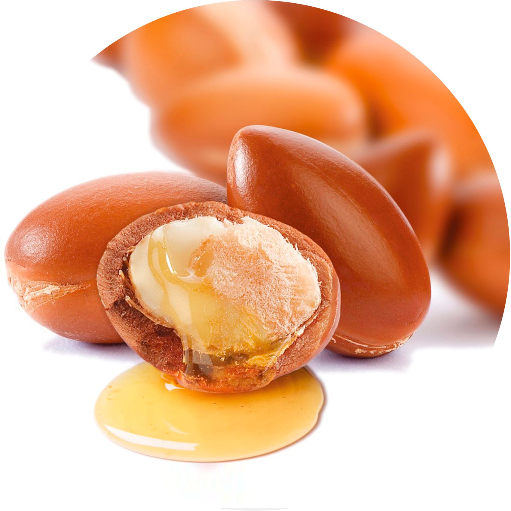 Argan-Früchte, eine aufgeschnitten. Öl-Tropfen. Auf hellem Untergrund. Produktname nicht sichtbar.