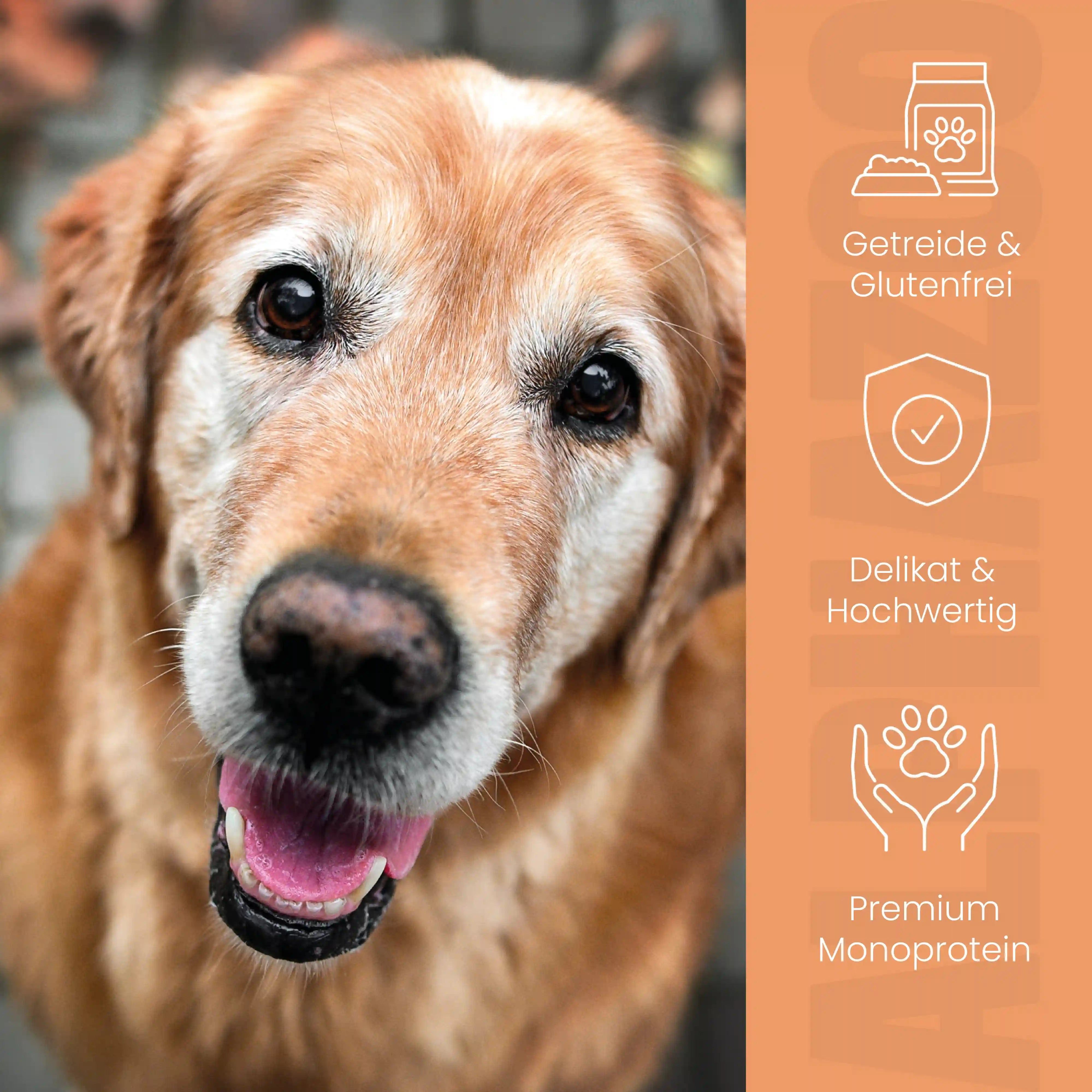 alphazoo Kaninchen + Kalb Nassfutter für Senior Hunde