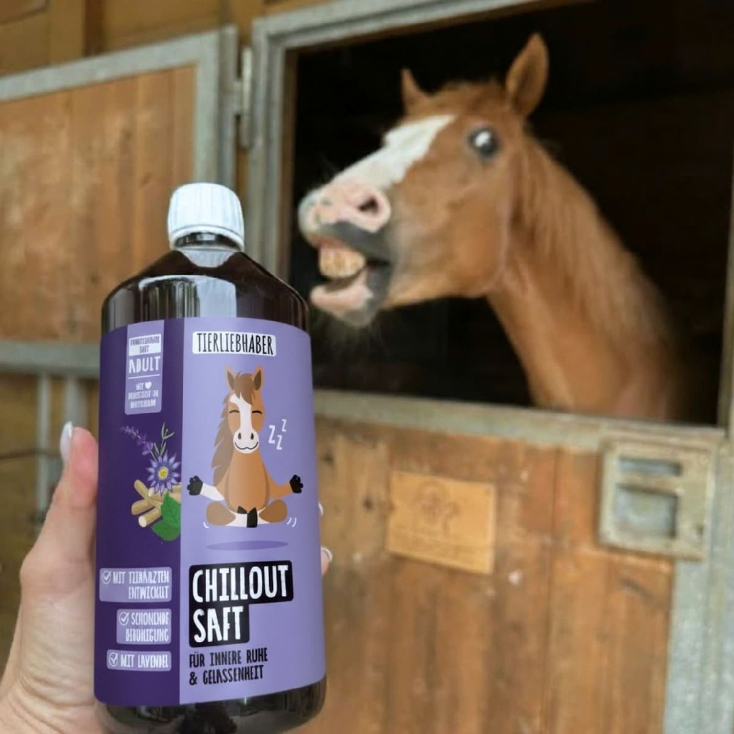 Flasche Tierliebhaber Chilloutsaft für Pferde mit einem Pferd im Stall.