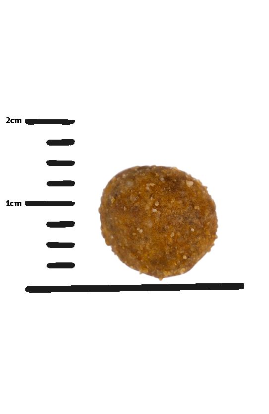 Hundefutter-Krokette, braun, rundlich. Skala zeigt ca. 1 cm Durchmesser.