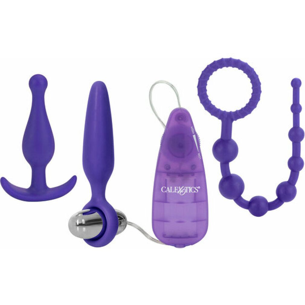 Drei lila Produkte: Analplug, Vibrator mit Steuerung, Perlenkette.