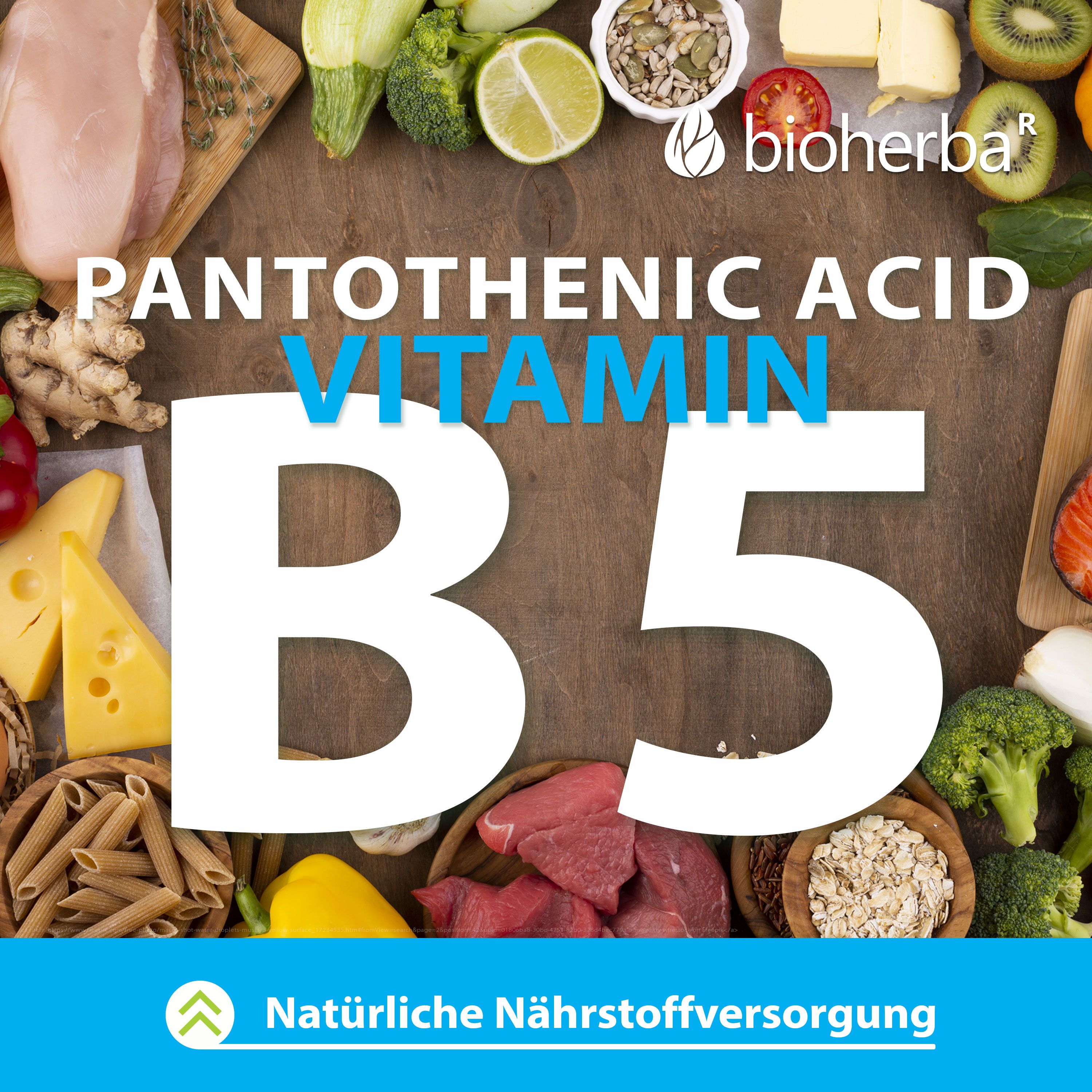 Bioherba Chaga Extrakt Kapseln