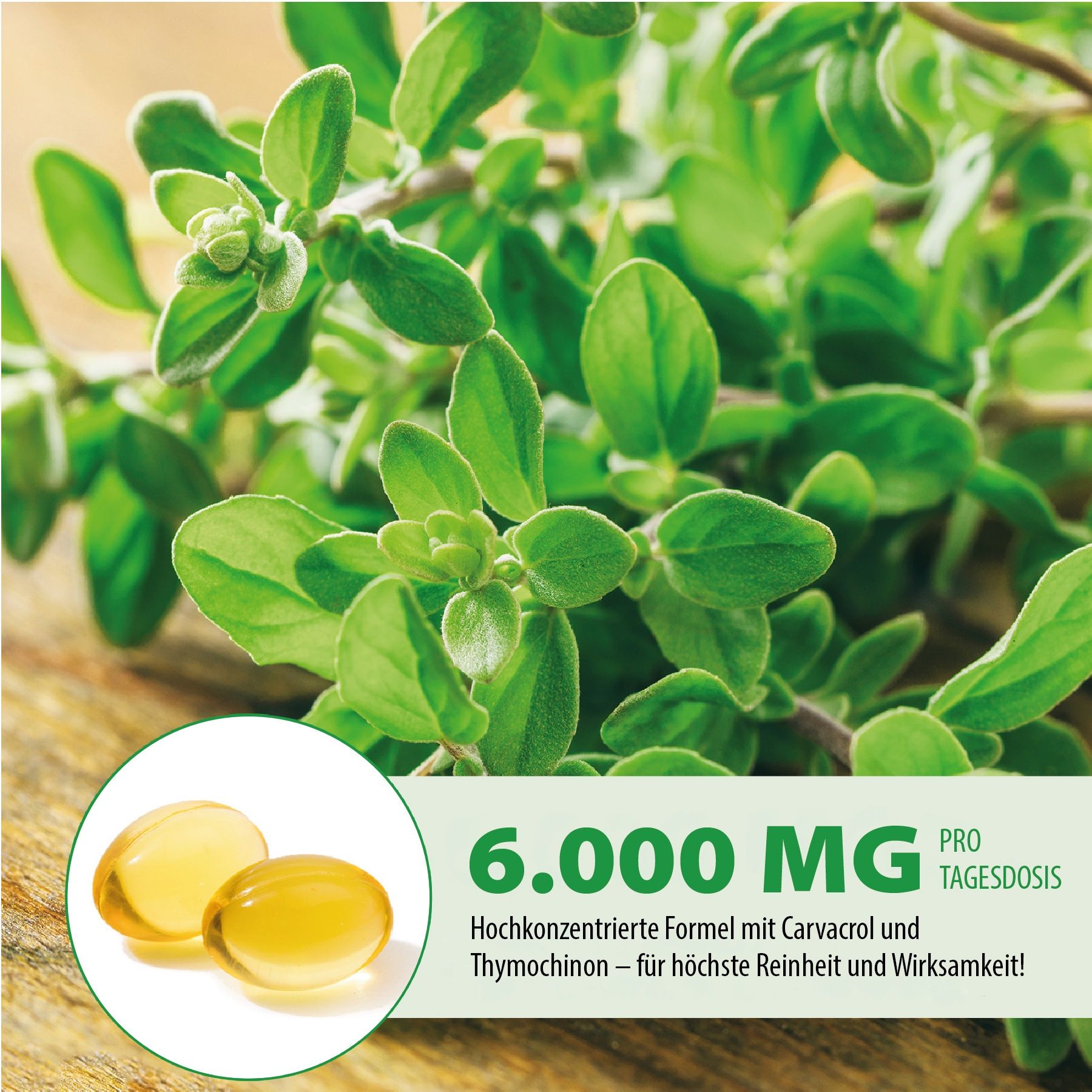 Zweig mit Oregano-Blättern und gelben Softgels. Text: 6.000 mg pro Tagesdosis. Hochkonzentrierte Formel mit Carvacrol und Thymochinon.