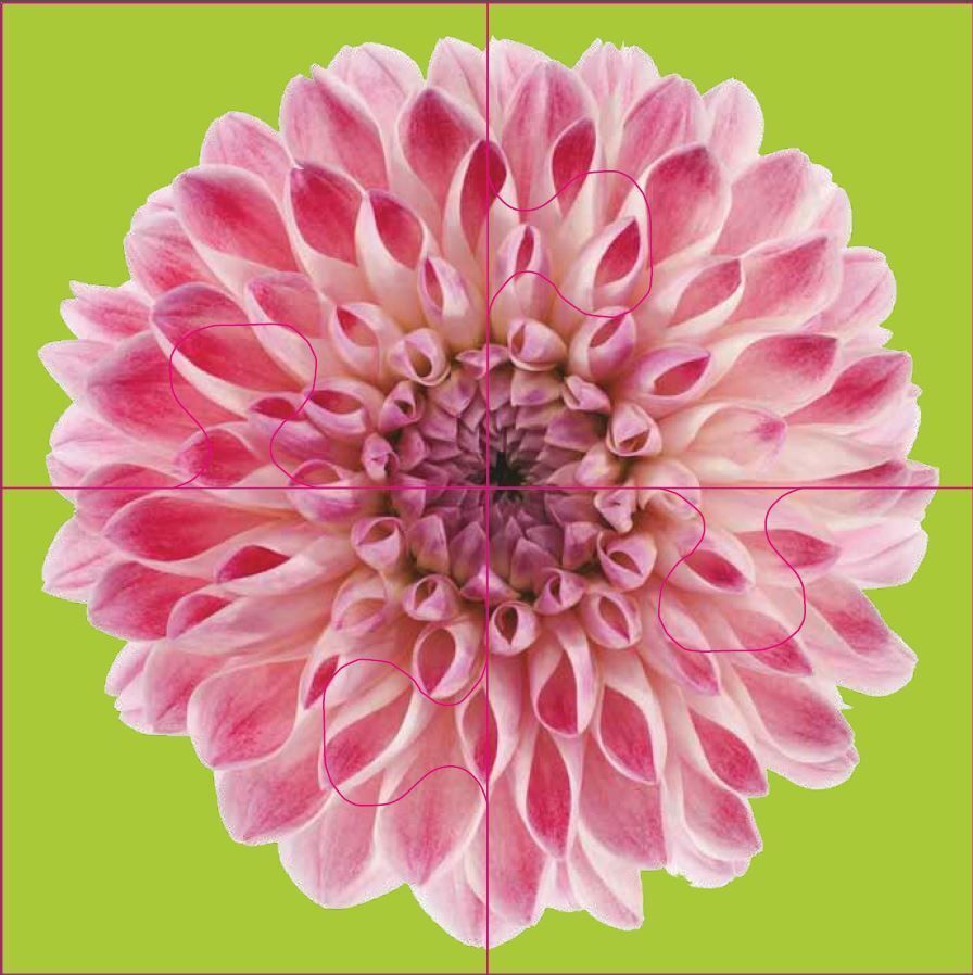 Das "Gelingt-immer"-Puzzle Blumen. Das Puzzle-Spiel für Senioren mit Demenz Vier Puzzle-Spiele mi...