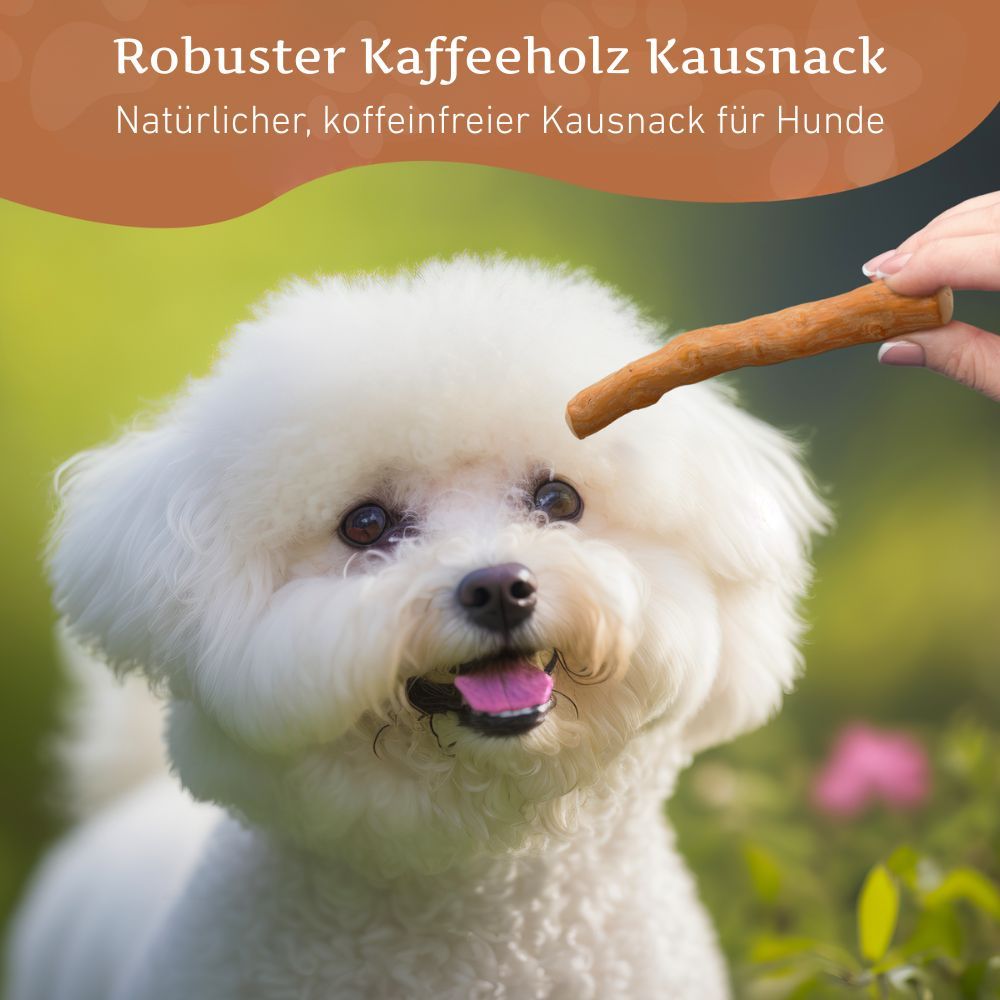 Weißer Hund im Gras, Hand hält Kaustab. Text: Robuster Kaffeeholz-Kausnack für Hunde.