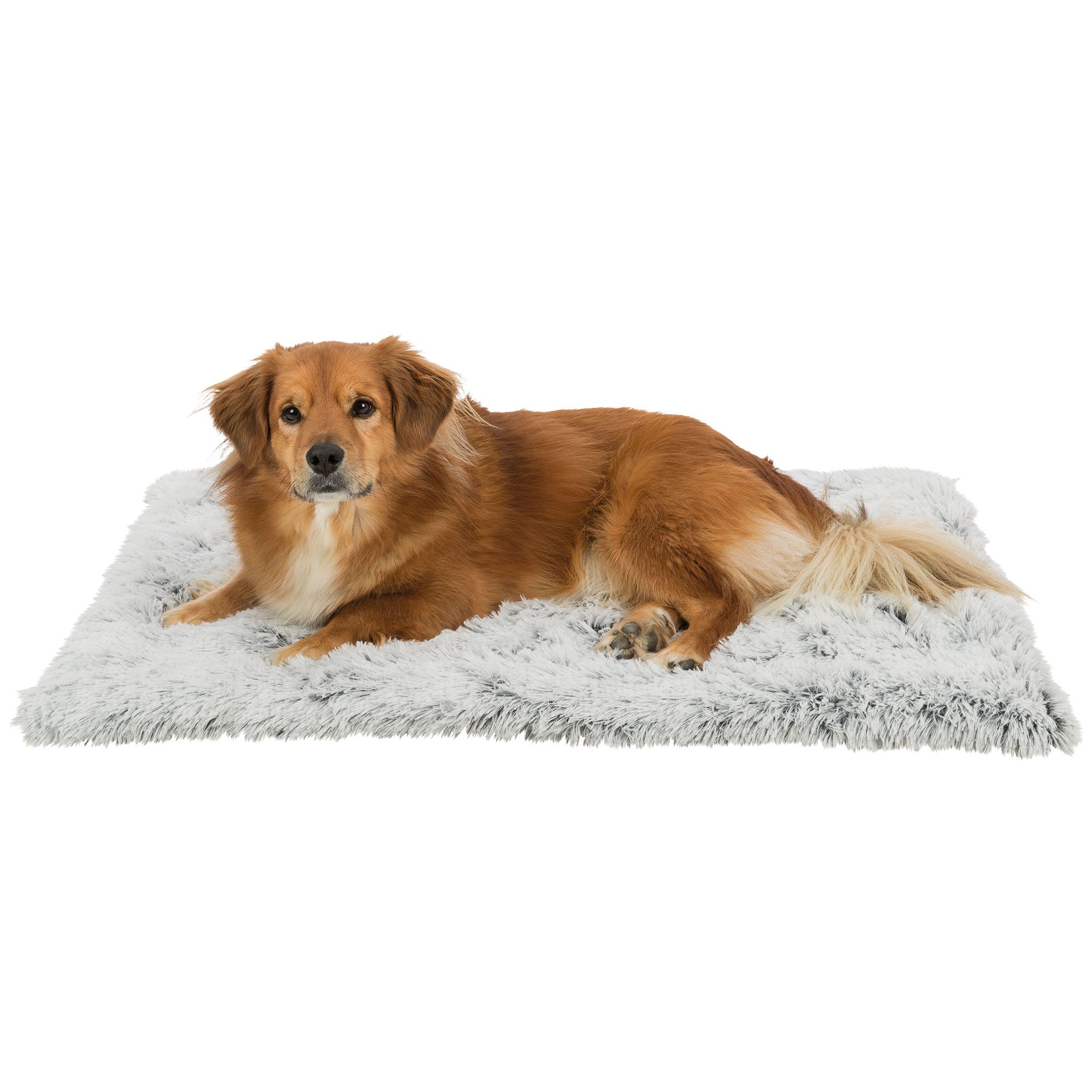 Schecker Hundedecke - Liegematte Harvey