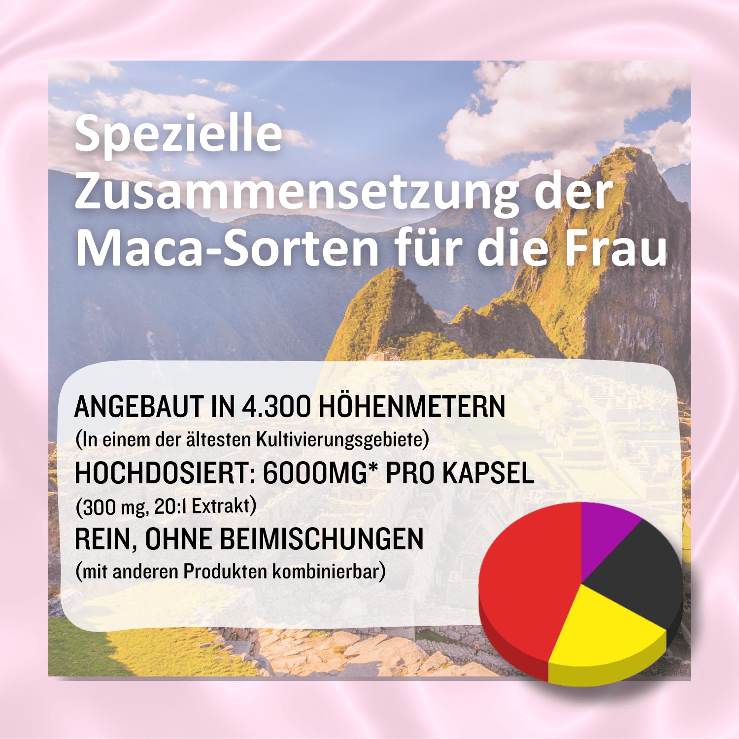 Grafik mit Text und Diagramm. Text: Spezielle Zusammensetzung der Maca-Sorten für die Frau. Angebaut in 4.300 Höhenmetern.
