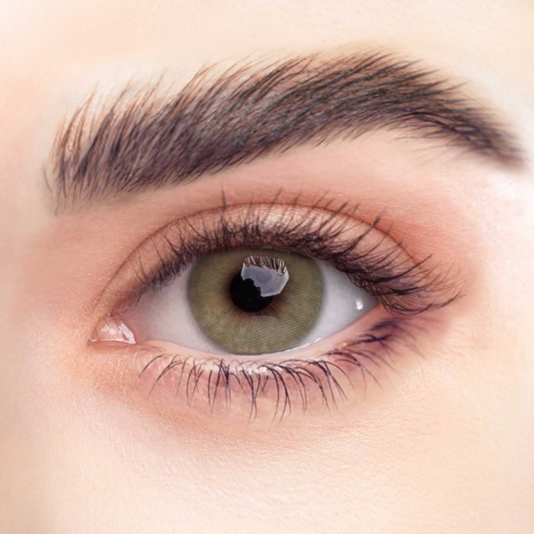 Nahaufnahme eines Auges mit olivgrüner Kontaktlinse. Sichtbare Wimpern und Augenbrauen. Natürlicher Hautton.