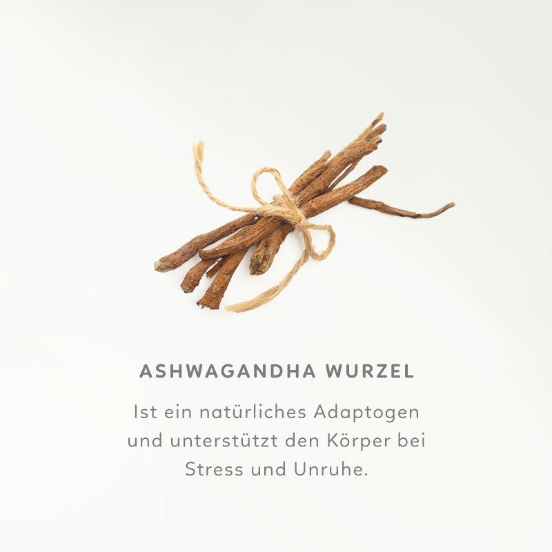 Bündel Ashwagandha-Wurzeln, mit Schnur gebunden, auf weißem Hintergrund. Text: Ashwagandha Wurzel.