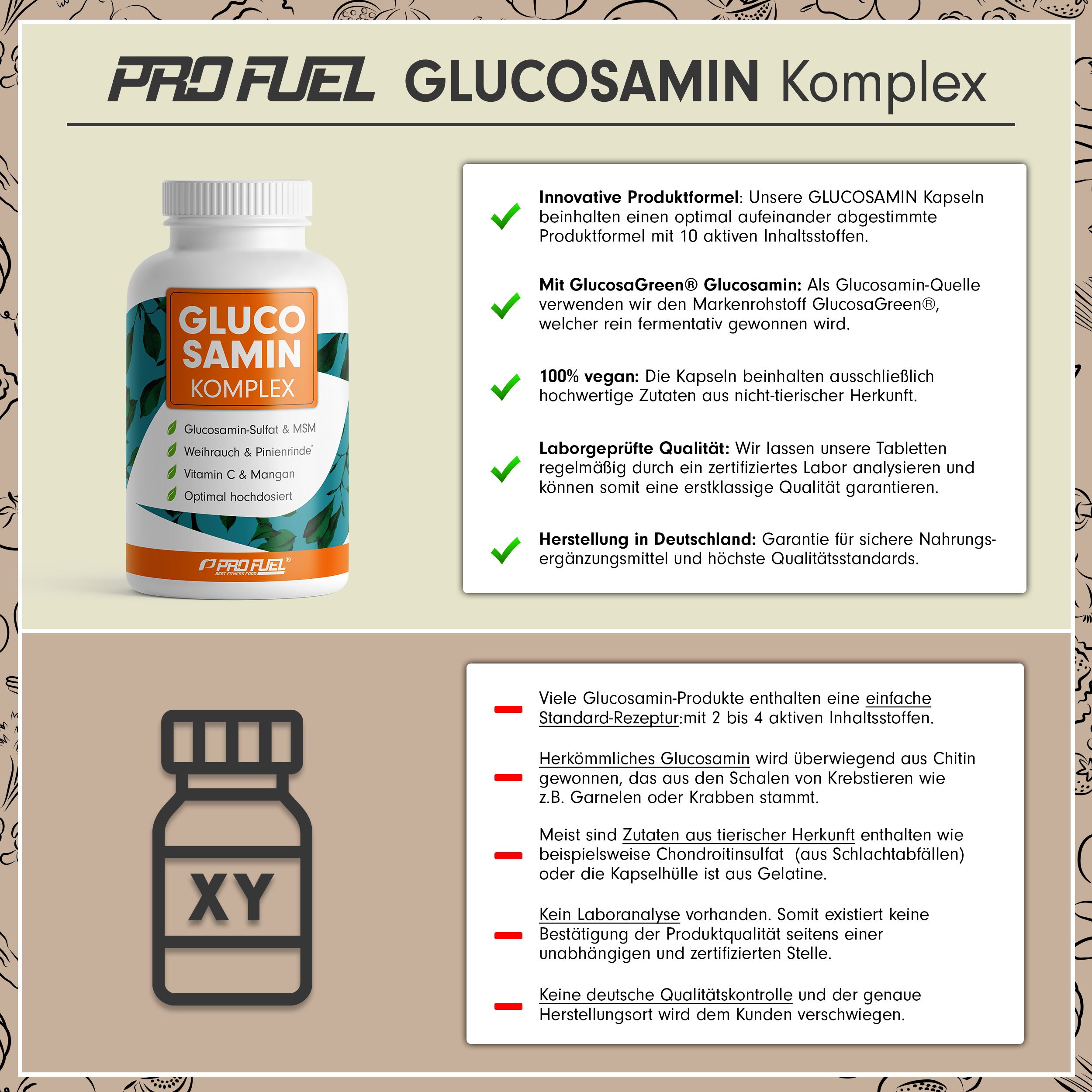 ProFuel - GLUCOSAMIN Komplex mit MSM, Weihrauch, Pinienrinde, Vitamin C & Mangan