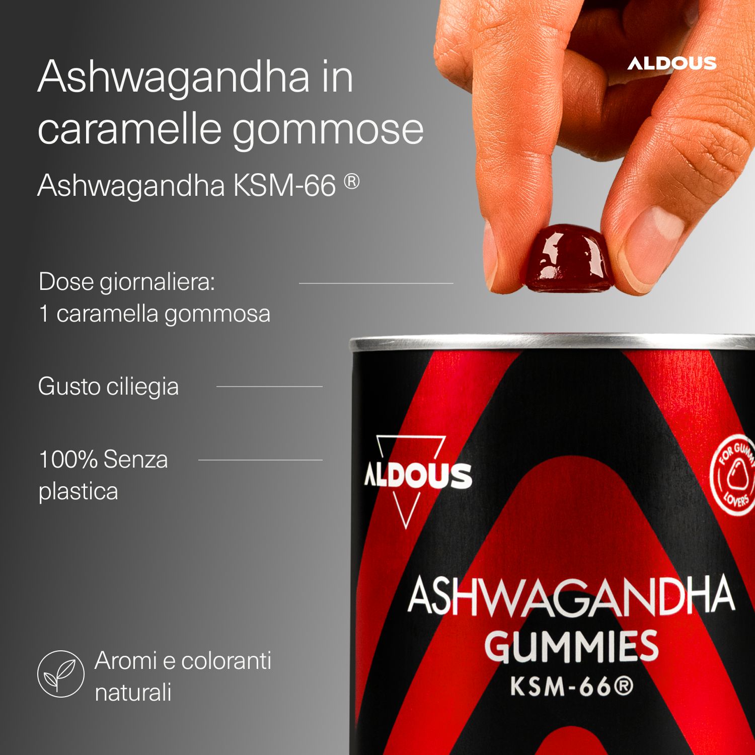 Hand hält Aldous Ashwagandha Gummy, Dose im Hintergrund.