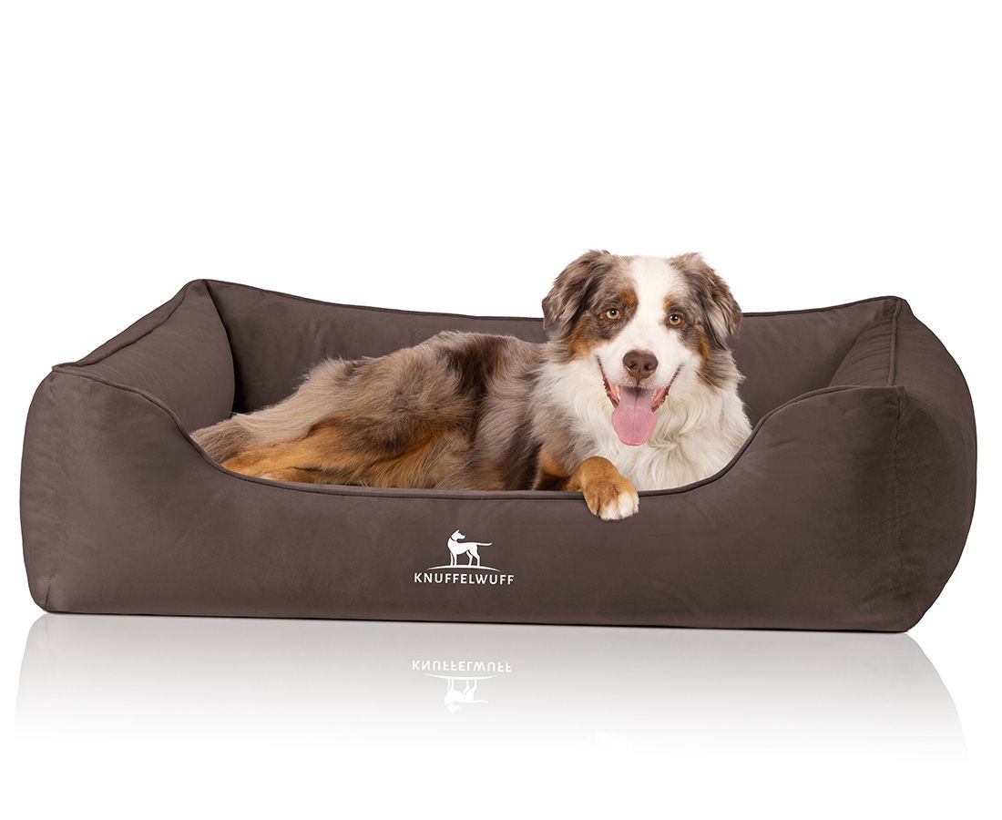 Braunes orthopädisches Hundebett. Ein Hund liegt entspannt darin. Logo "Knuffelwuff" sichtbar. Weiches Material, klare Linien.