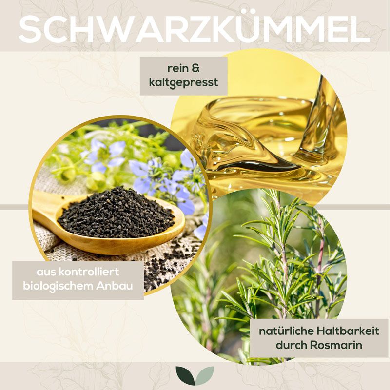 Kreisförmige Elemente: Schwarzkümmel, Öl, Rosmarin. Text: aus kontrolliert biologischem Anbau, rein & kaltgepresst, natürliche Haltbarkeit durch Rosmarin.