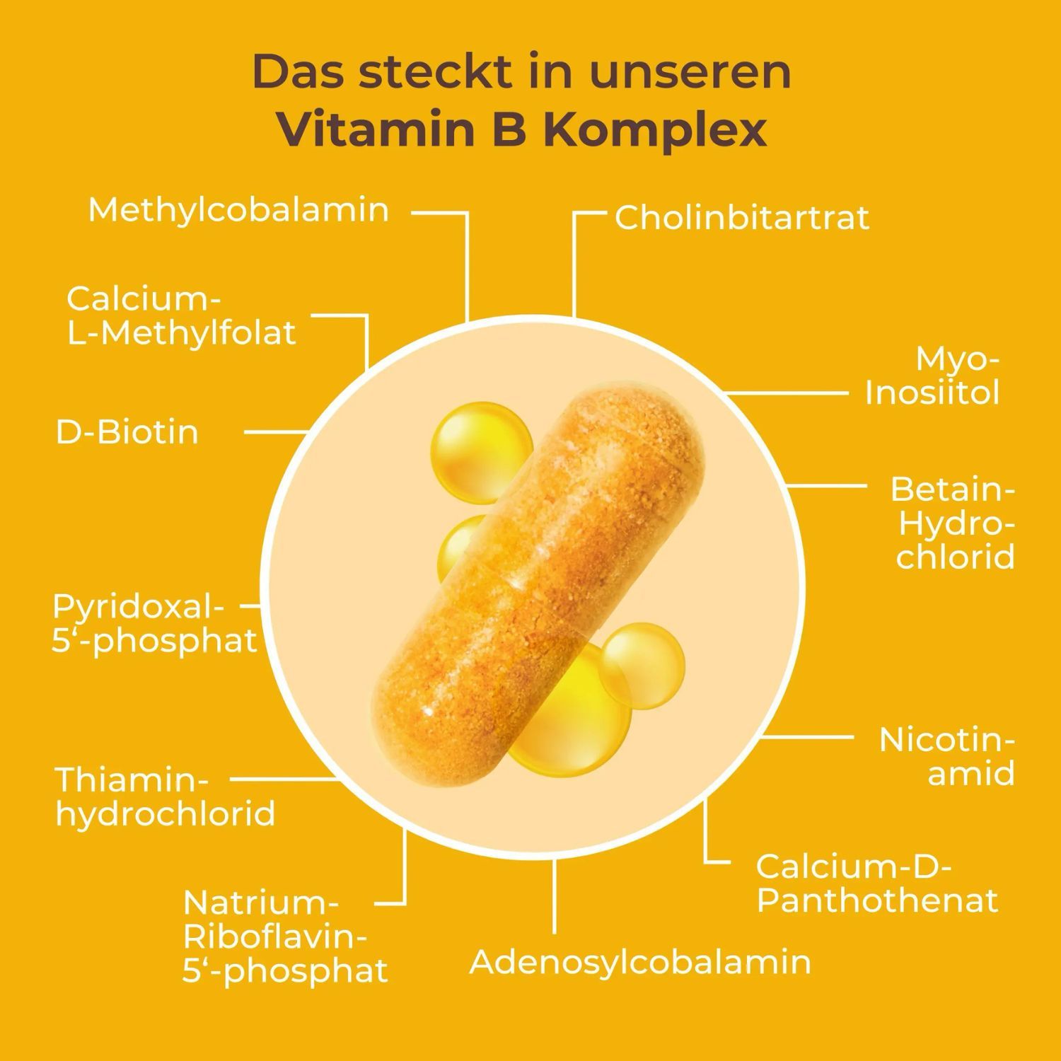 Schema zeigt eine Kapsel und die Inhaltsstoffe des Viktilabs Vitamin B Komplex Forte.