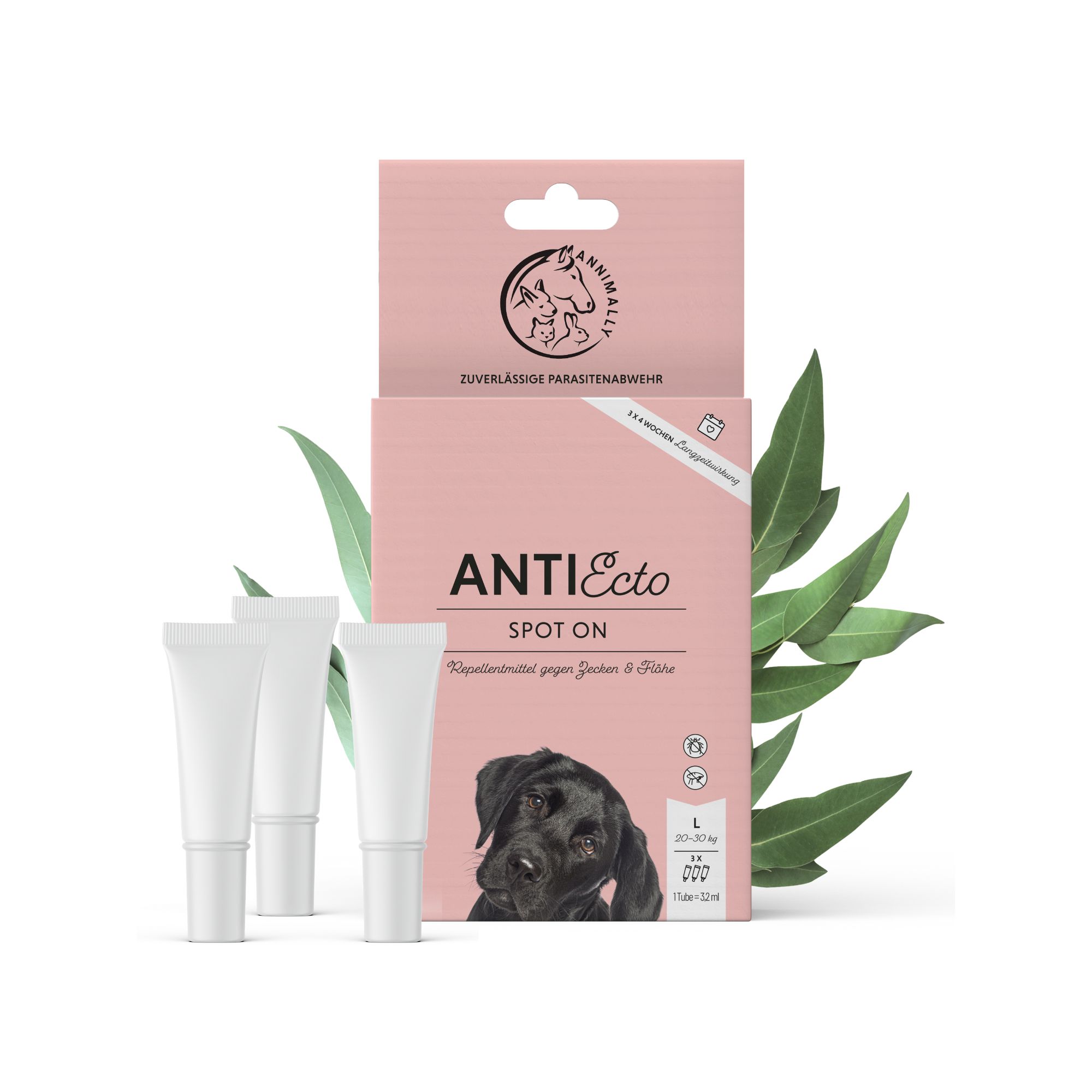 Verpackung von AntiEcto Spot On. Rosa Schachtel mit Logo und Produktnamen. Enthält 3 Tuben. Für Hunde. L-Größe.