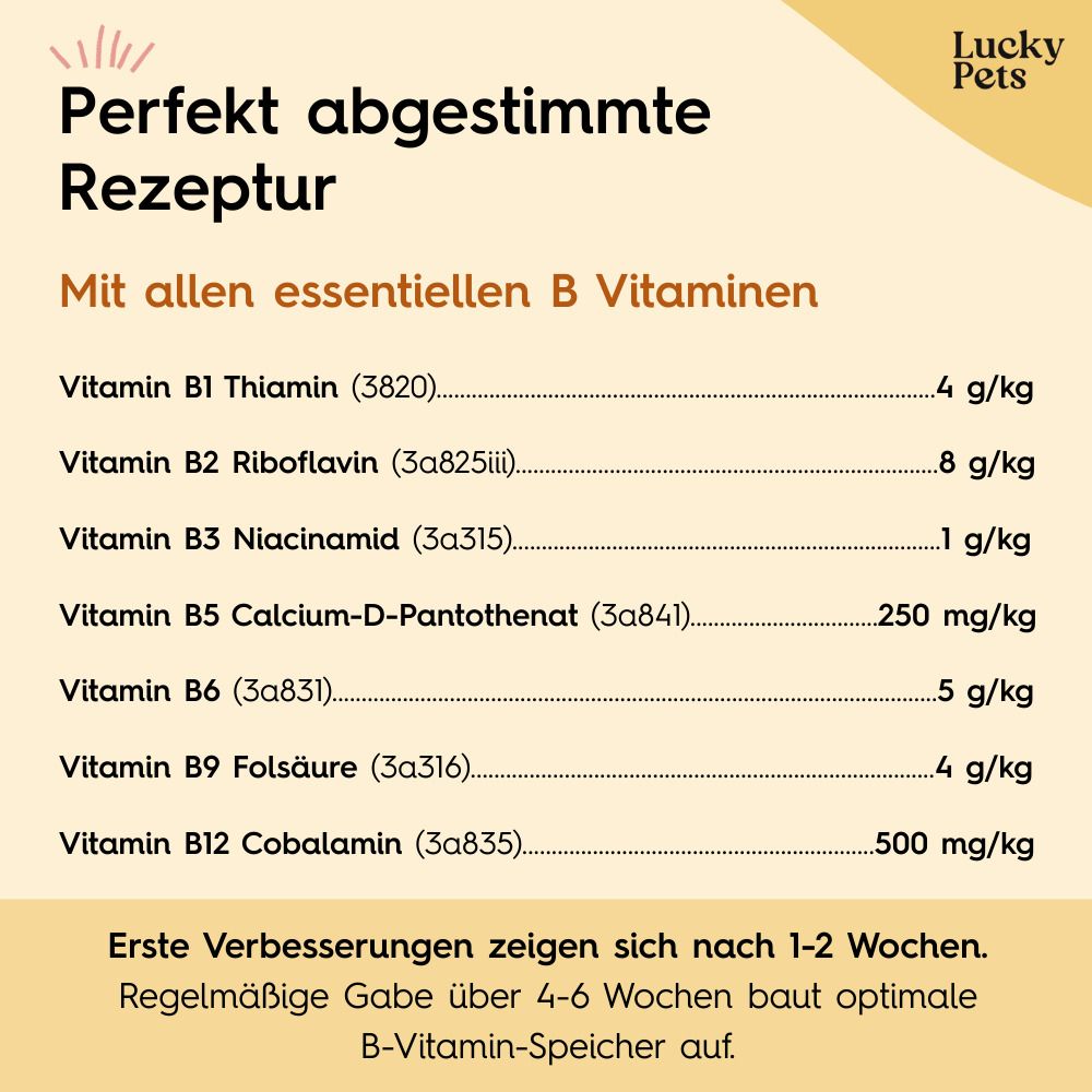 Perfekt abgestimmte Rezeptur mit allen essentiellen B-Vitaminen. Inhaltsstoffe mit Mengenangaben. Erste Verbesserungen nach 1-2 Wochen. Regelmäßige Gabe baut Speicher auf.