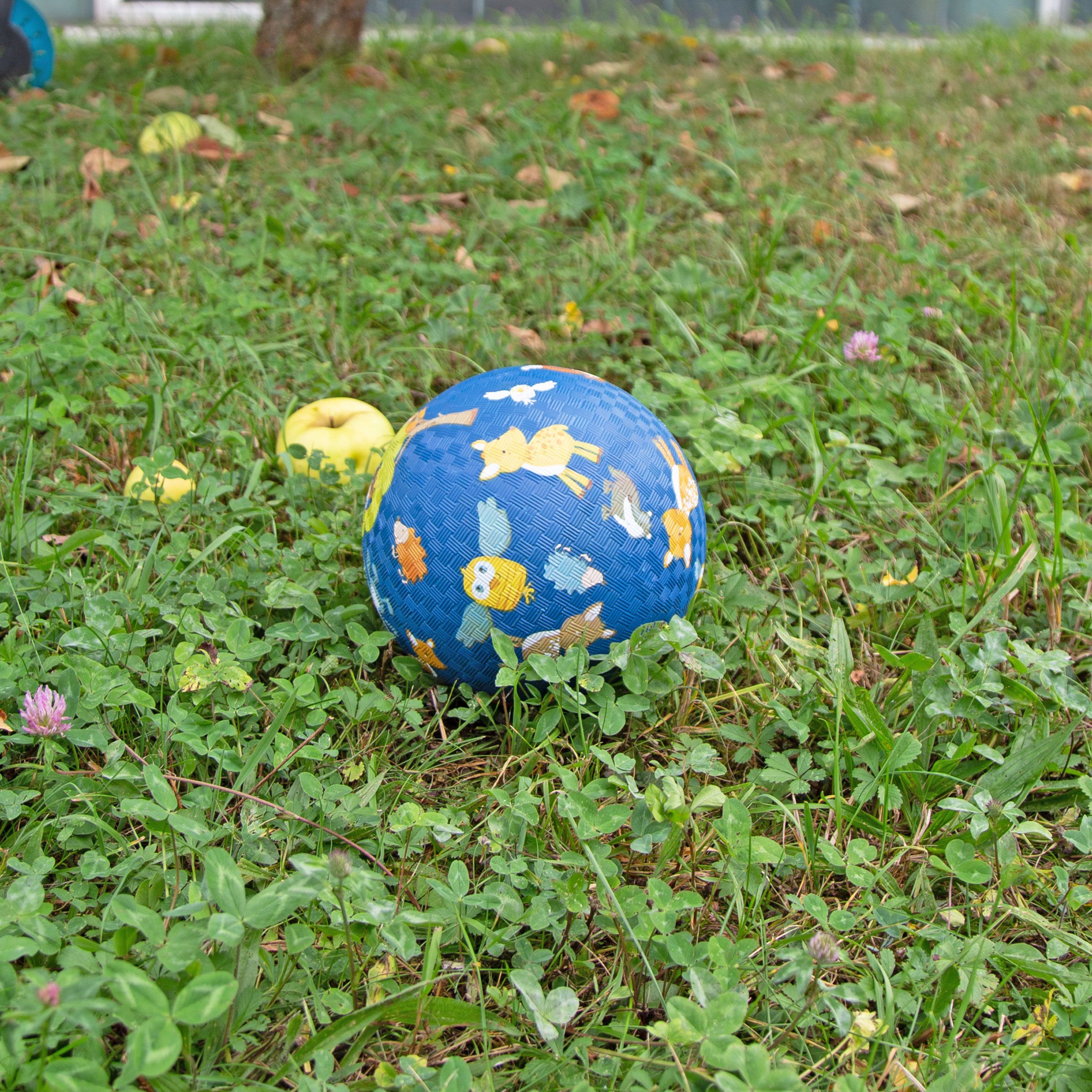 Blauer Ball mit Tierillustrationen im Gras. Zwei Äpfel liegen im Hintergrund.