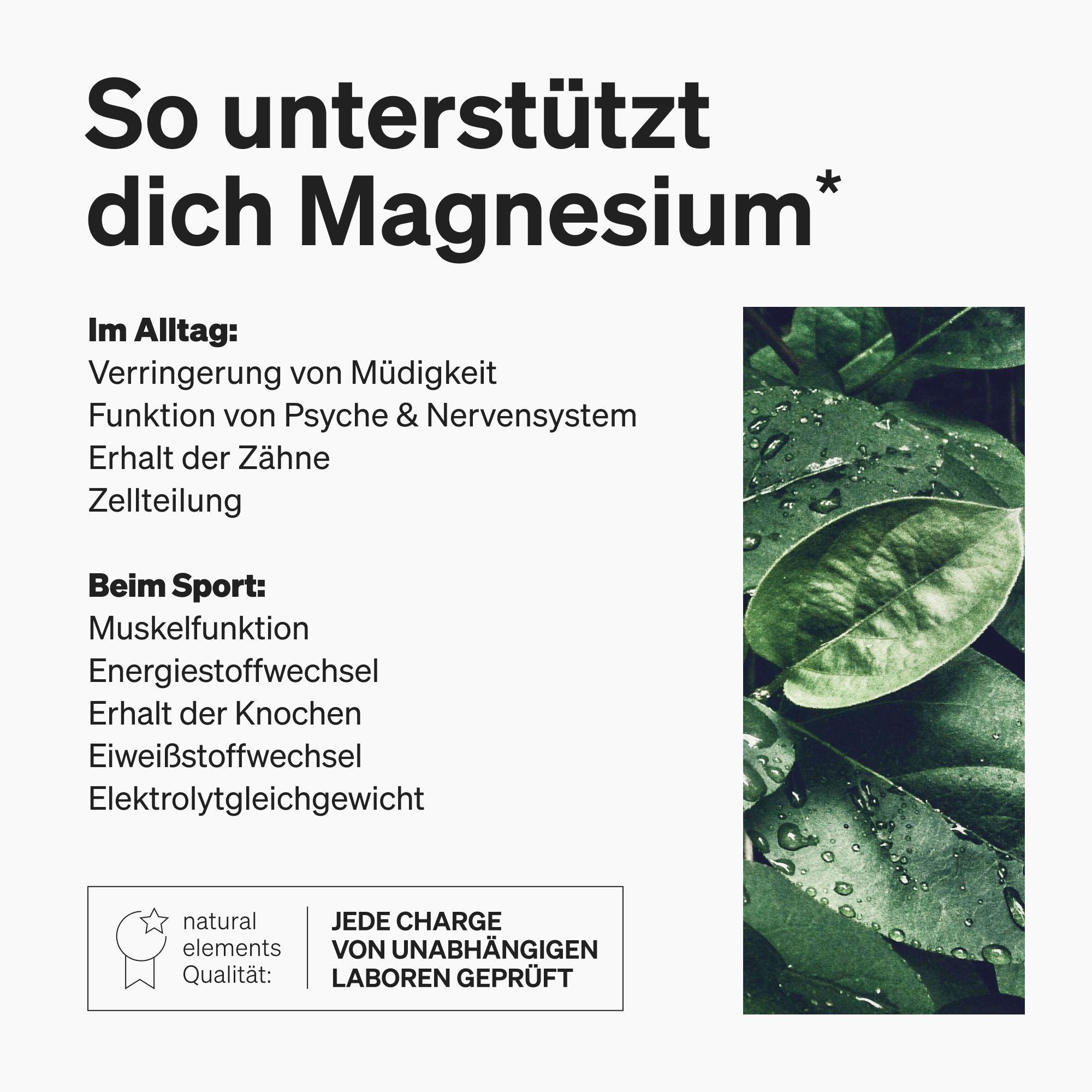 Text: So unterstützt dich Magnesium. Aufzählung von Vorteilen. Logo: natural elements. Zertifizierung: Jede Charge von unabhängigen Laboren geprüft.