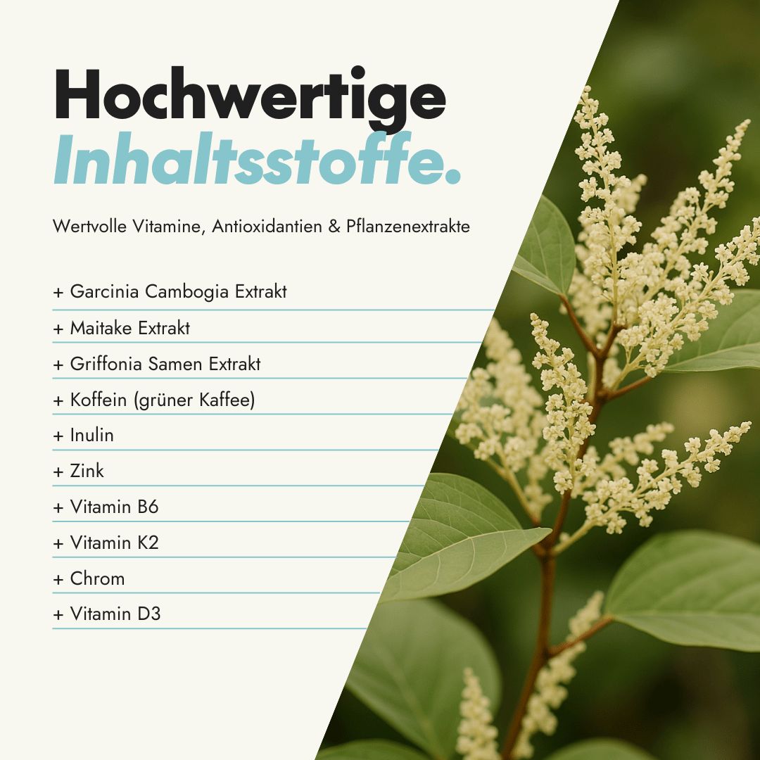 serotalin Active Body Cardio Vital+ | Herz-Kreislauf & Immunsystem | Vitamin C & NAC für Energie