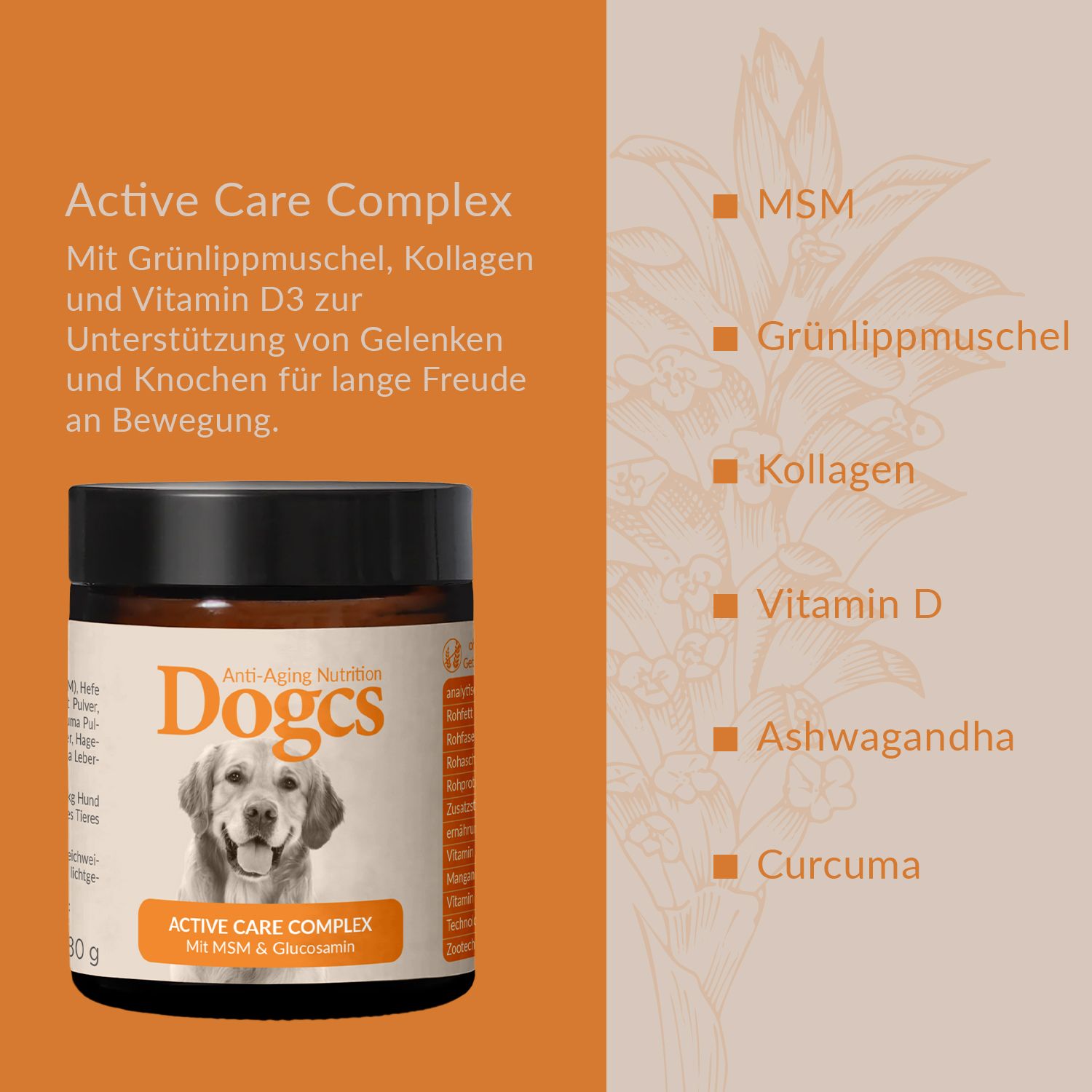 Dogcs Active Care Complex mit Kollagen & Grünlippmuschel 80 g Pulver