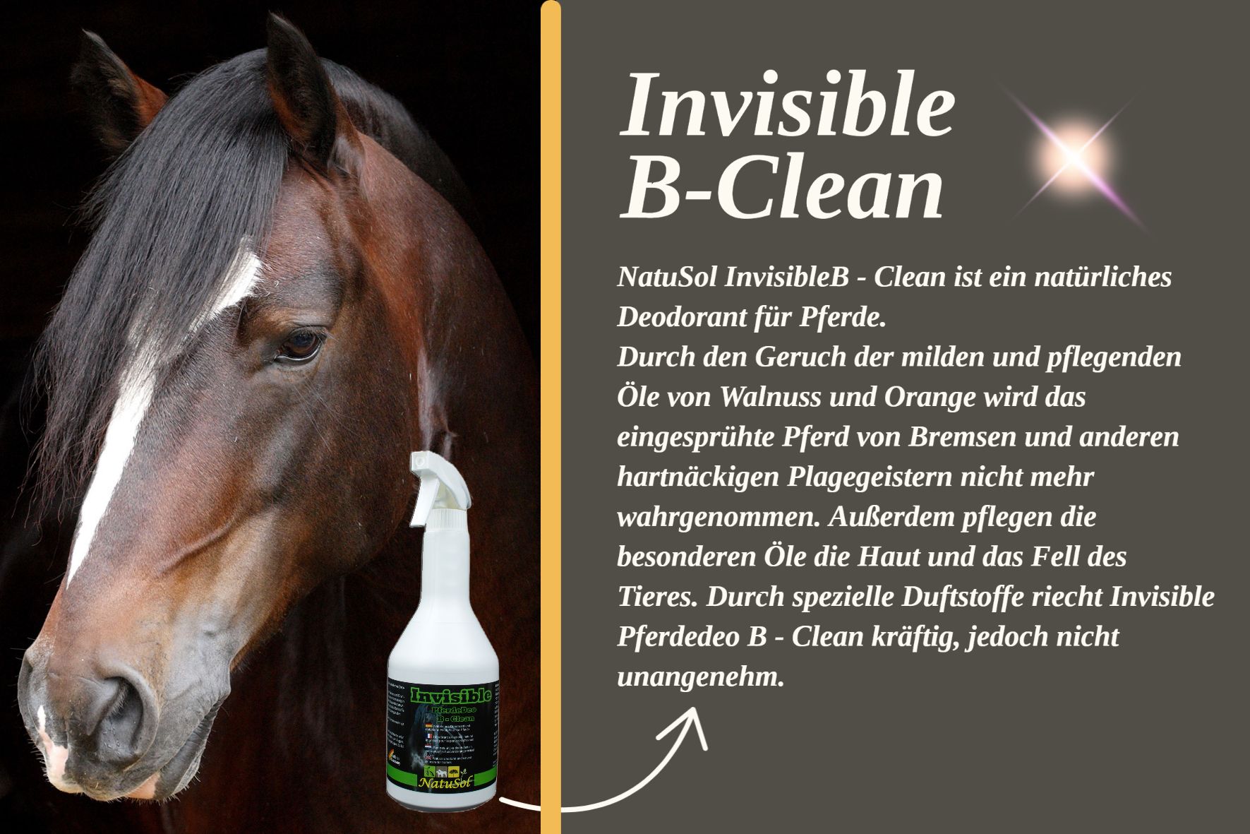 Pferd mit Sprühflasche. Aufschrift: Invisible B-Clean, NatuSol. Weißer Sprühkopf. Braunes Pferd.