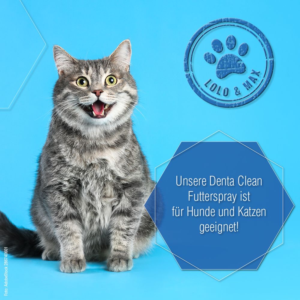 Grau getigerte Katze. Blaues Logo Lolo & Max. Text: Unsere Denta Clean Futterspray ist für Hunde und Katzen geeignet!