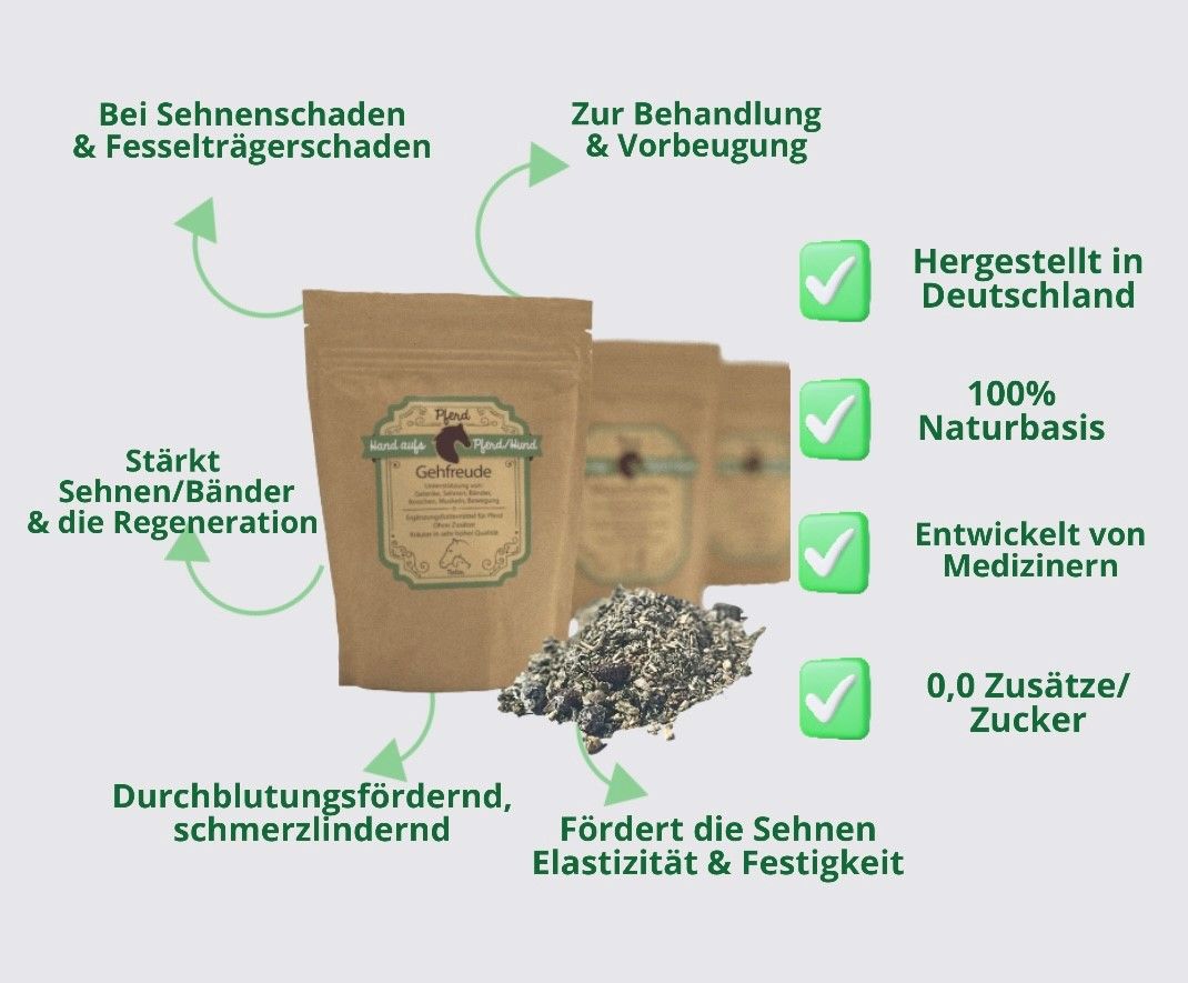Hand aufs Pferd/Hund Sehnen Kräuter Gehfreude