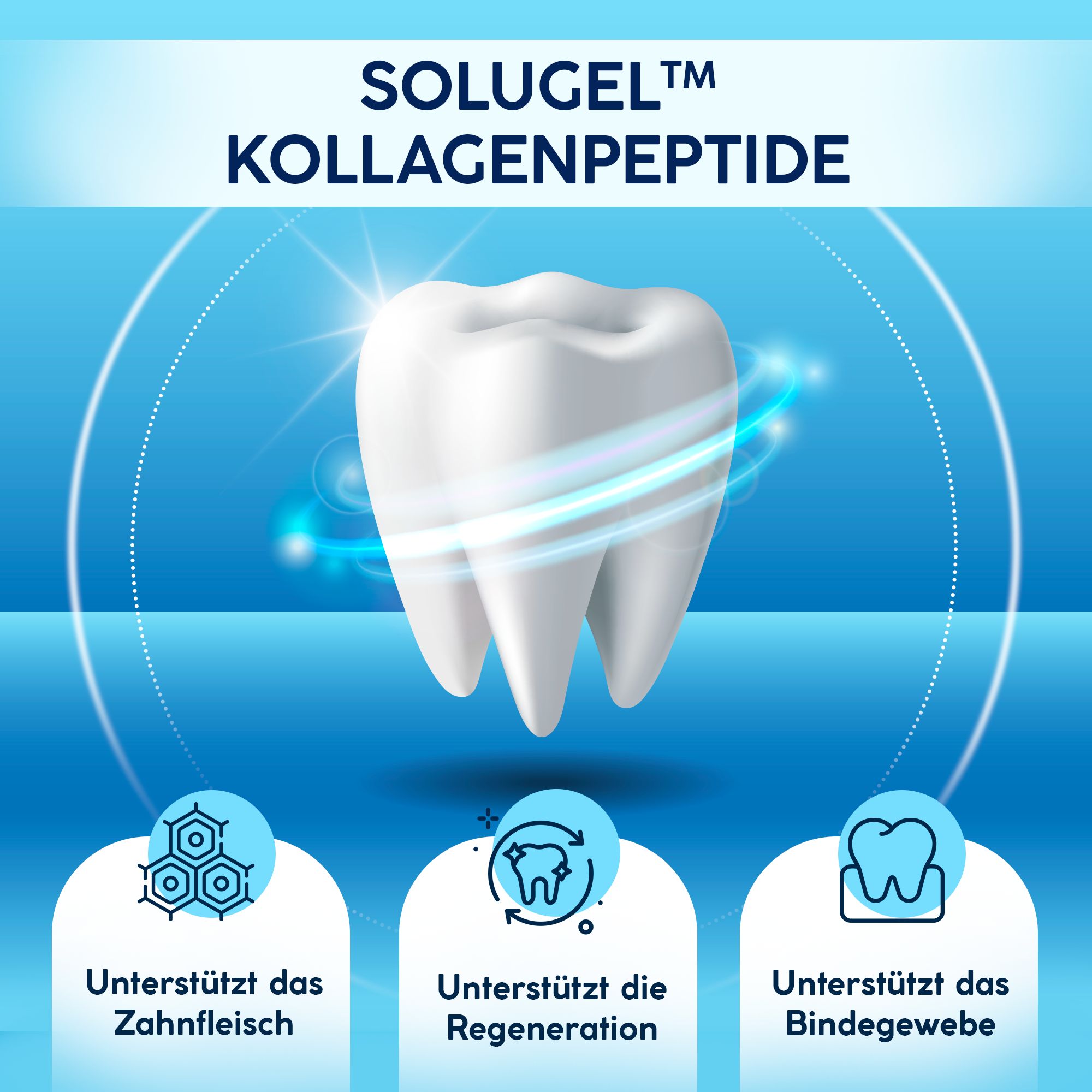 SUPPLEDENT Colladent