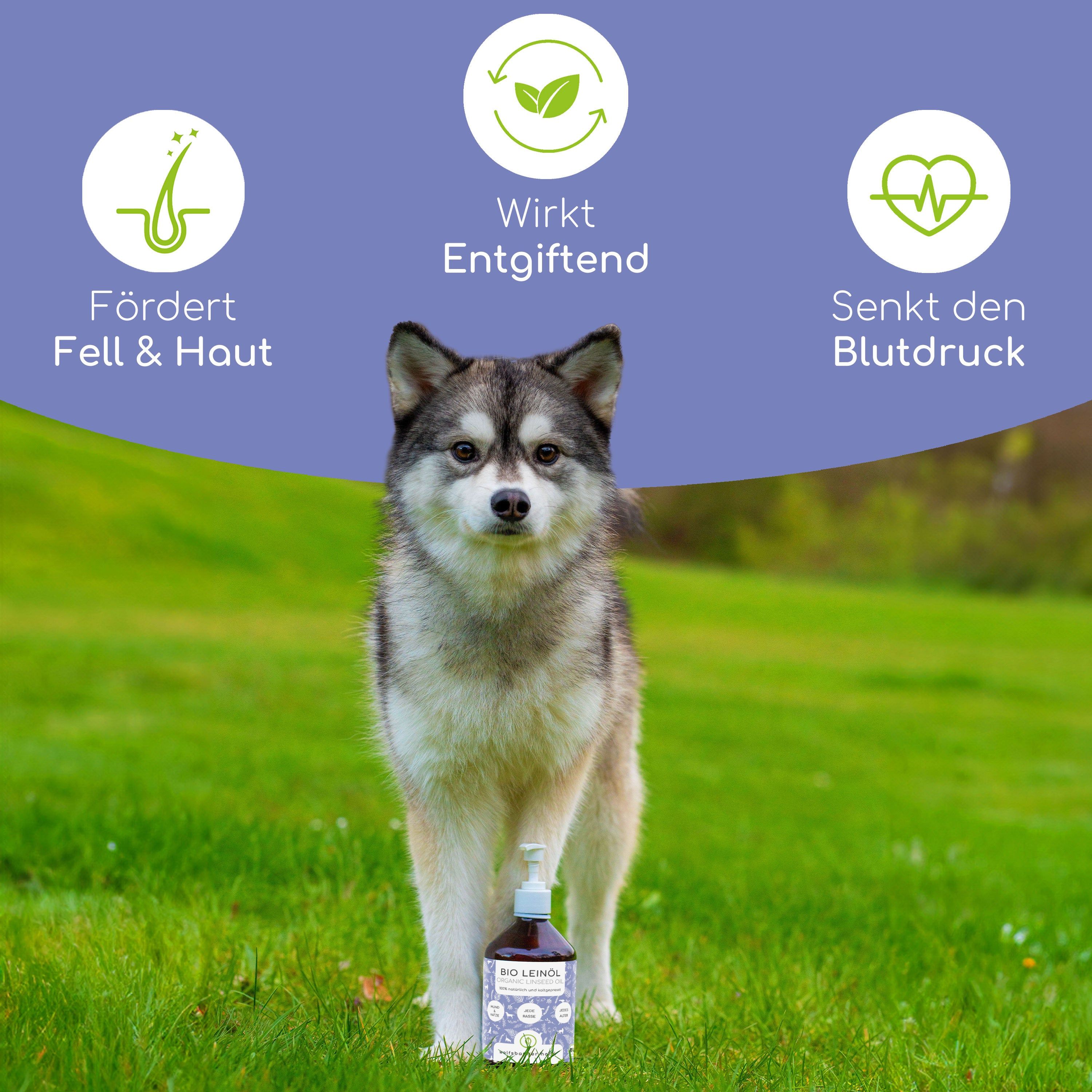 Wolfsbacher Natur Bio Leinöl