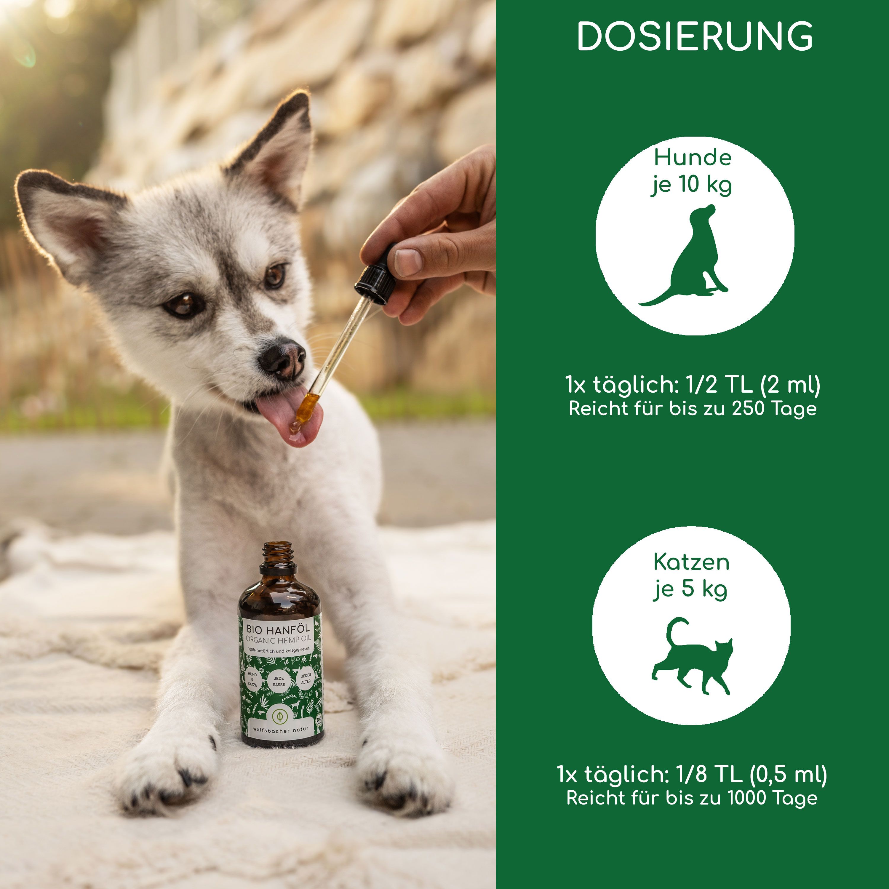 Hund bekommt Hanföl-Tropfen. Dosierung: Hunde je 10 kg, 1x täglich: 1/2 TL (2 ml). Katzen je 5 kg, 1x täglich: 1/8 TL (0,5 ml).