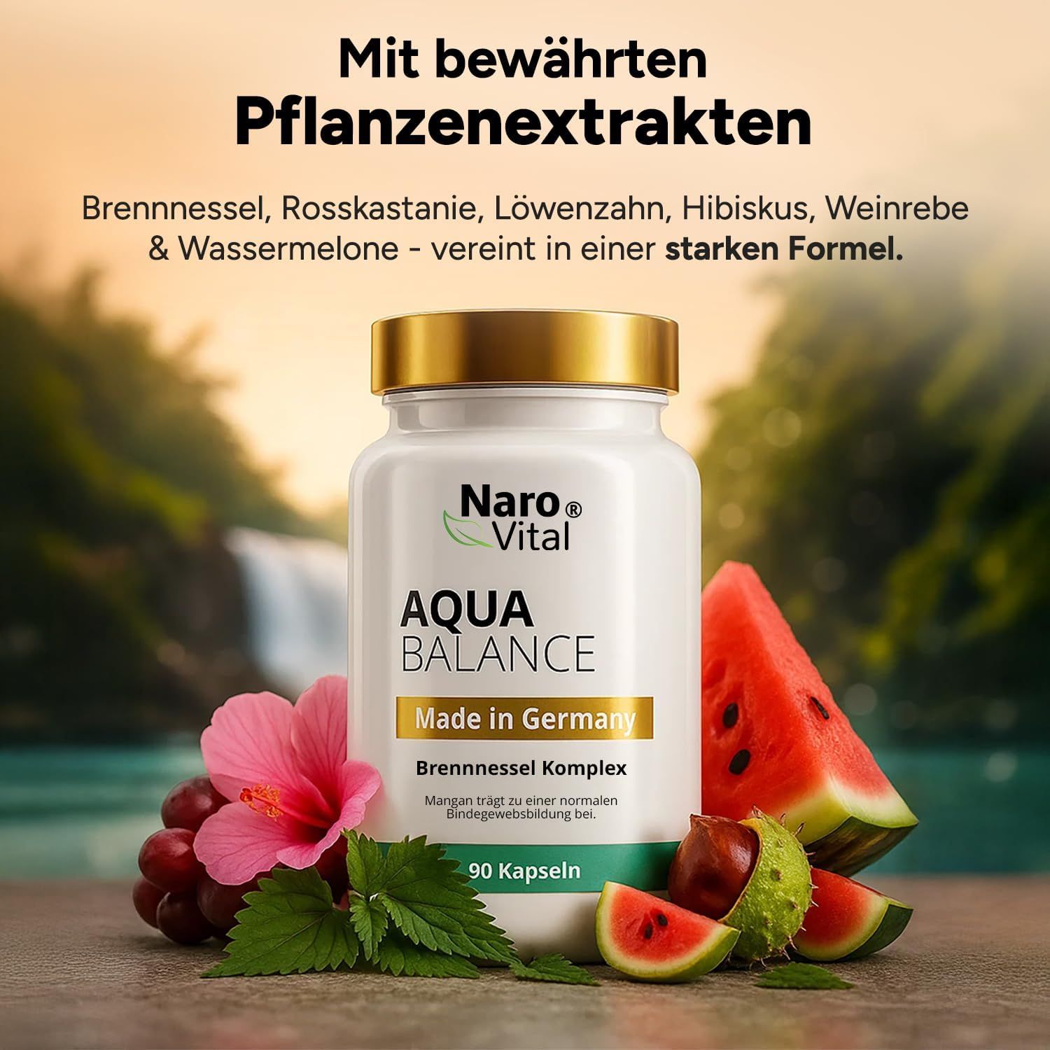Weiße Kapsel-Dose mit goldenem Deckel. Aufschrift: NaroVital, Aqua Balance, Made in Germany, Brennnessel Komplex. 90 Kapseln. Obst und Blüten.