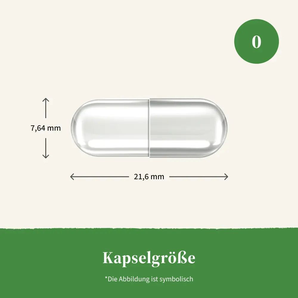 Kapsel, transparent, oval. Maße: 21,6 mm x 7,64 mm. Hintergrund grün.