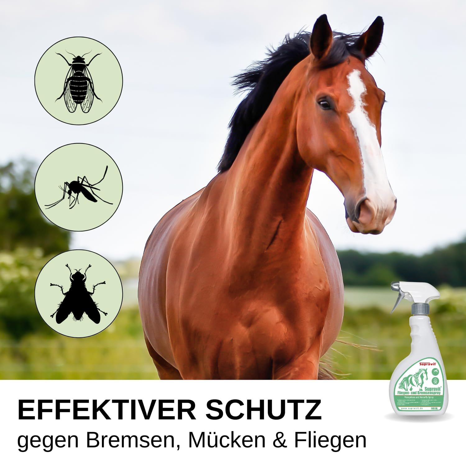 Supravit Bremsen & Fliegenspray Pferd | Effektiver Insektenschutz