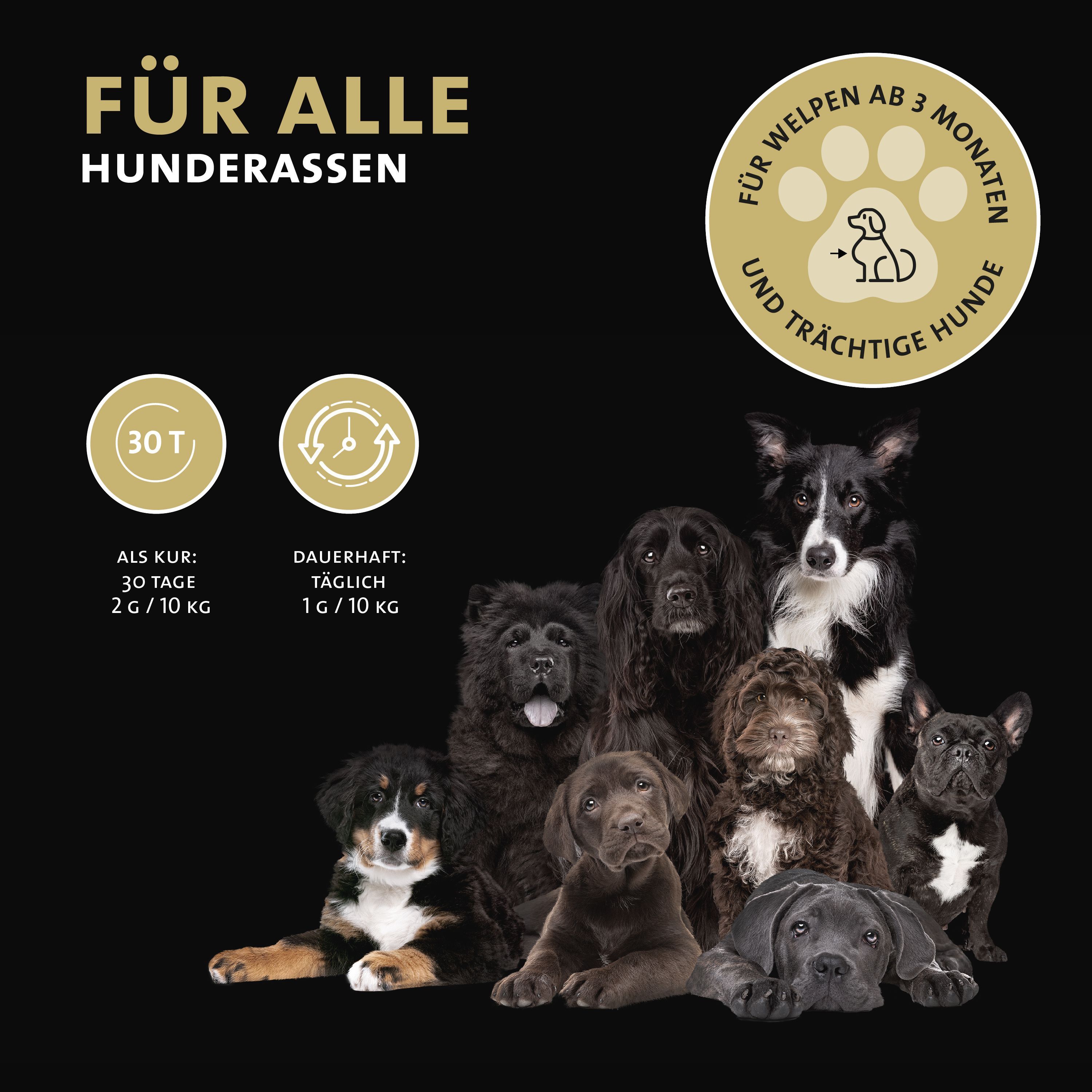 Gruppe von Hunden verschiedener Rassen, Text "Für alle Hunderassen", Hinweise zur Dosierung.