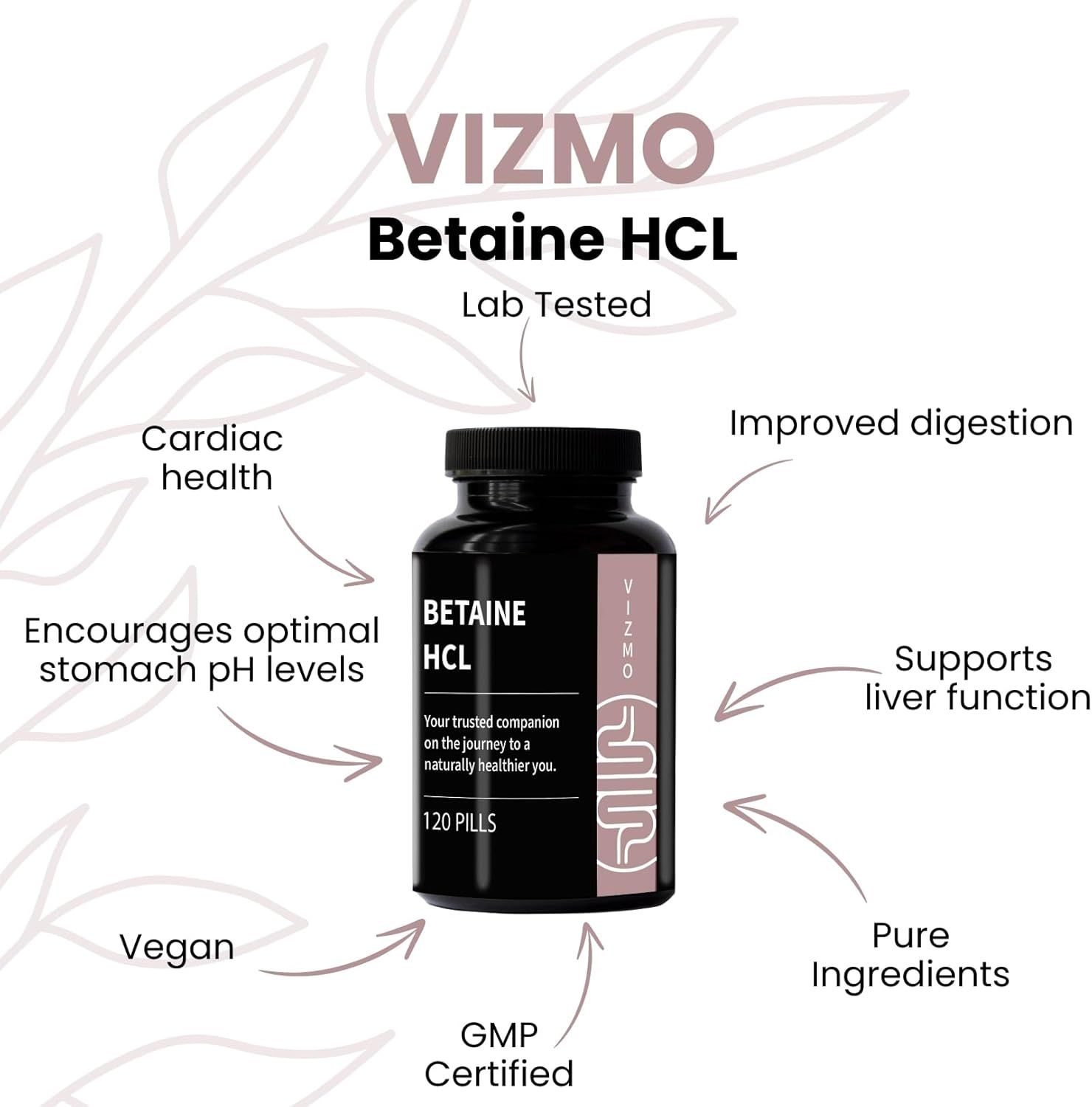 Produktflasche mit Betaine HCL. Text: Lab Tested, GMP Certified, Vegan. Pfeile zeigen auf Vorteile.