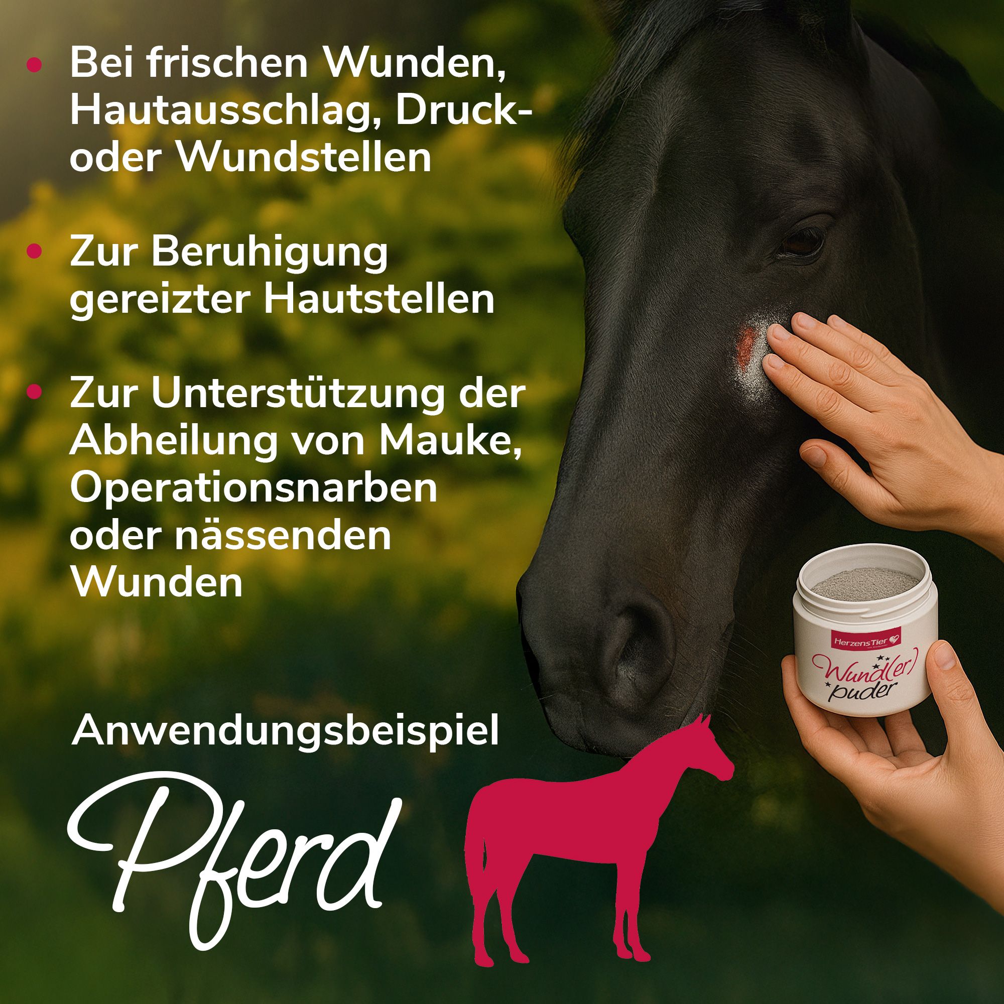 HerzensTier Wund(er)puder für Hund, Katze & Pferd