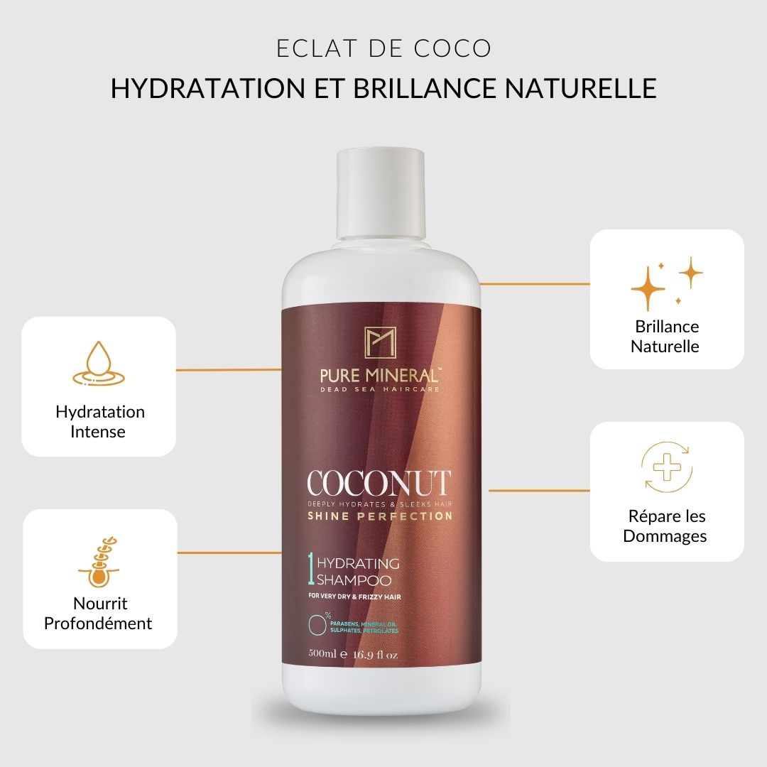 Flacon de shampooing avec étiquette marron. Texte : Éclat de coco, Hydratation et brillance naturelle.