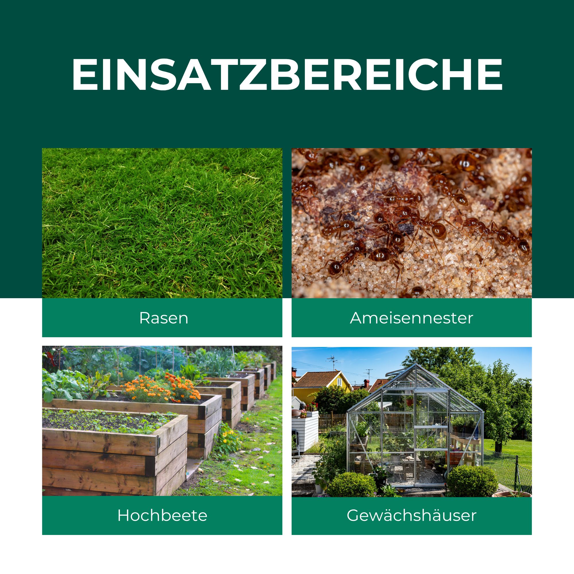 SILBERKRAFT SF Nematoden gegen Ameisen 10 Mio