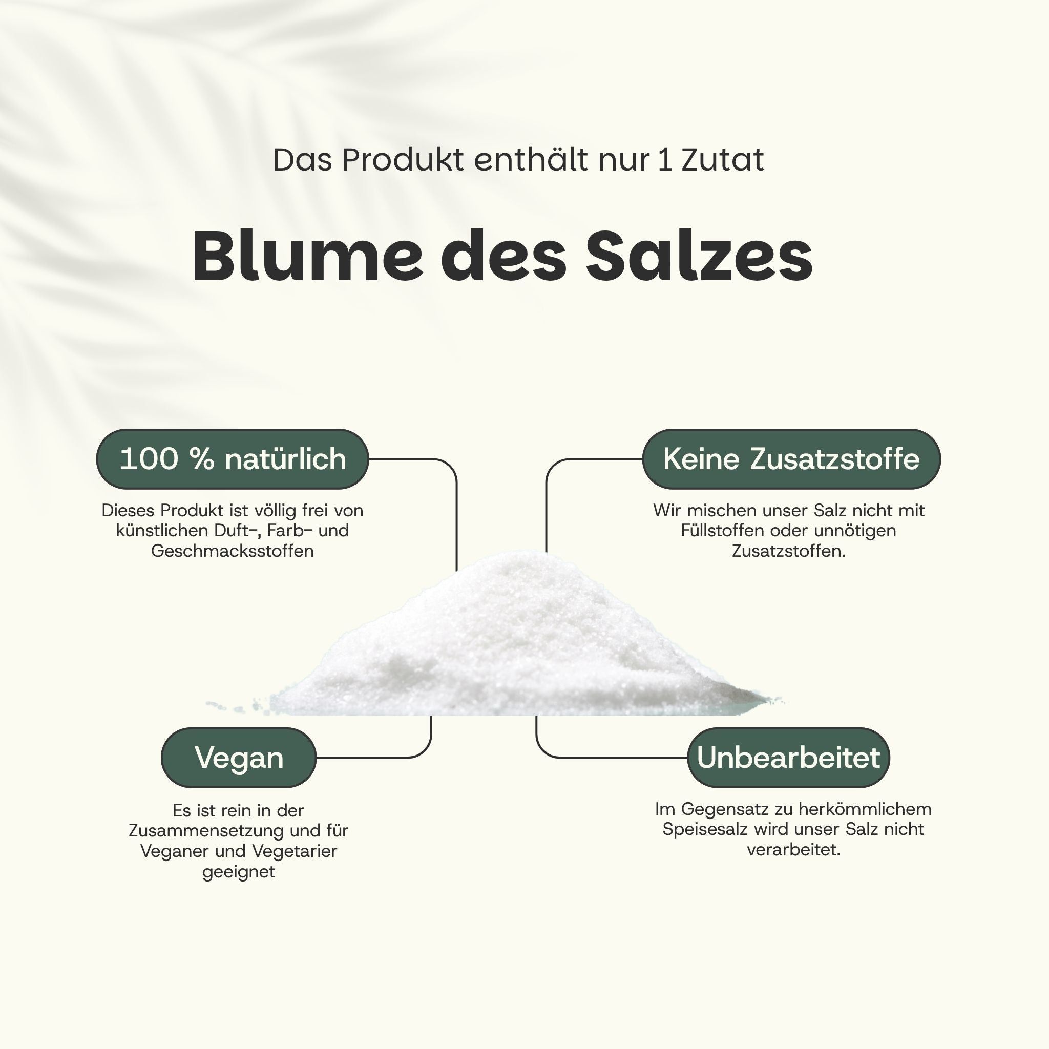 Blume des Salzes. Text: 100% natürlich, keine Zusatzstoffe, vegan, unverarbeitet. Salzberg.