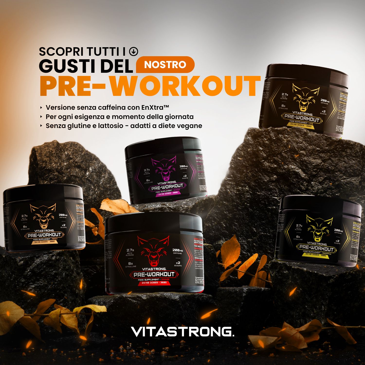Mehrere Dosen Vitastrong Pre-Workout. Verschiedene Farben, Wolf-Logo. Text: Ohne Koffein, vegan, glutenfrei, laktosefrei. Auf Steinen platziert.