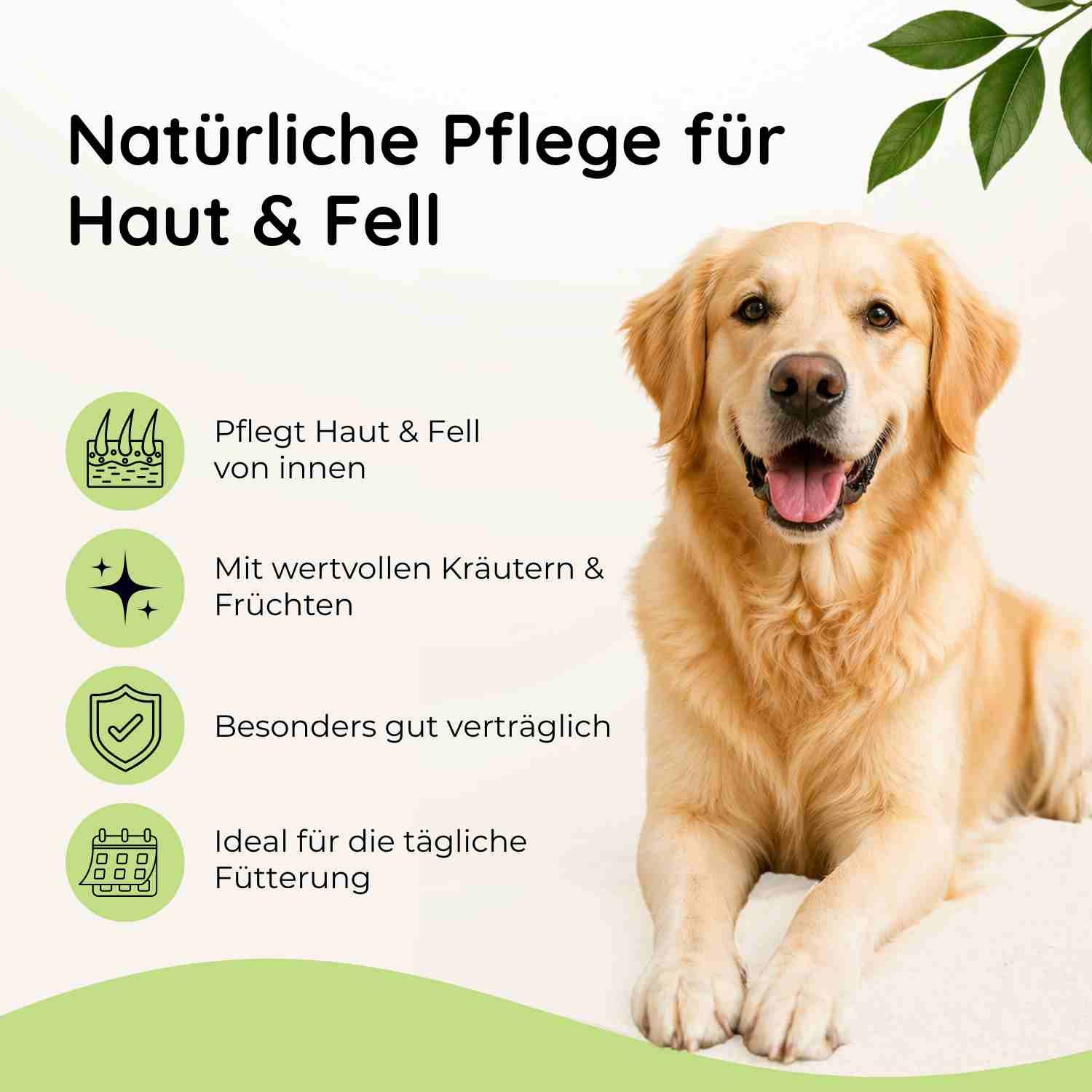 Frau umarmt Golden Retriever, "Mit Liebe für deinen Hund entwickelt" steht oben.