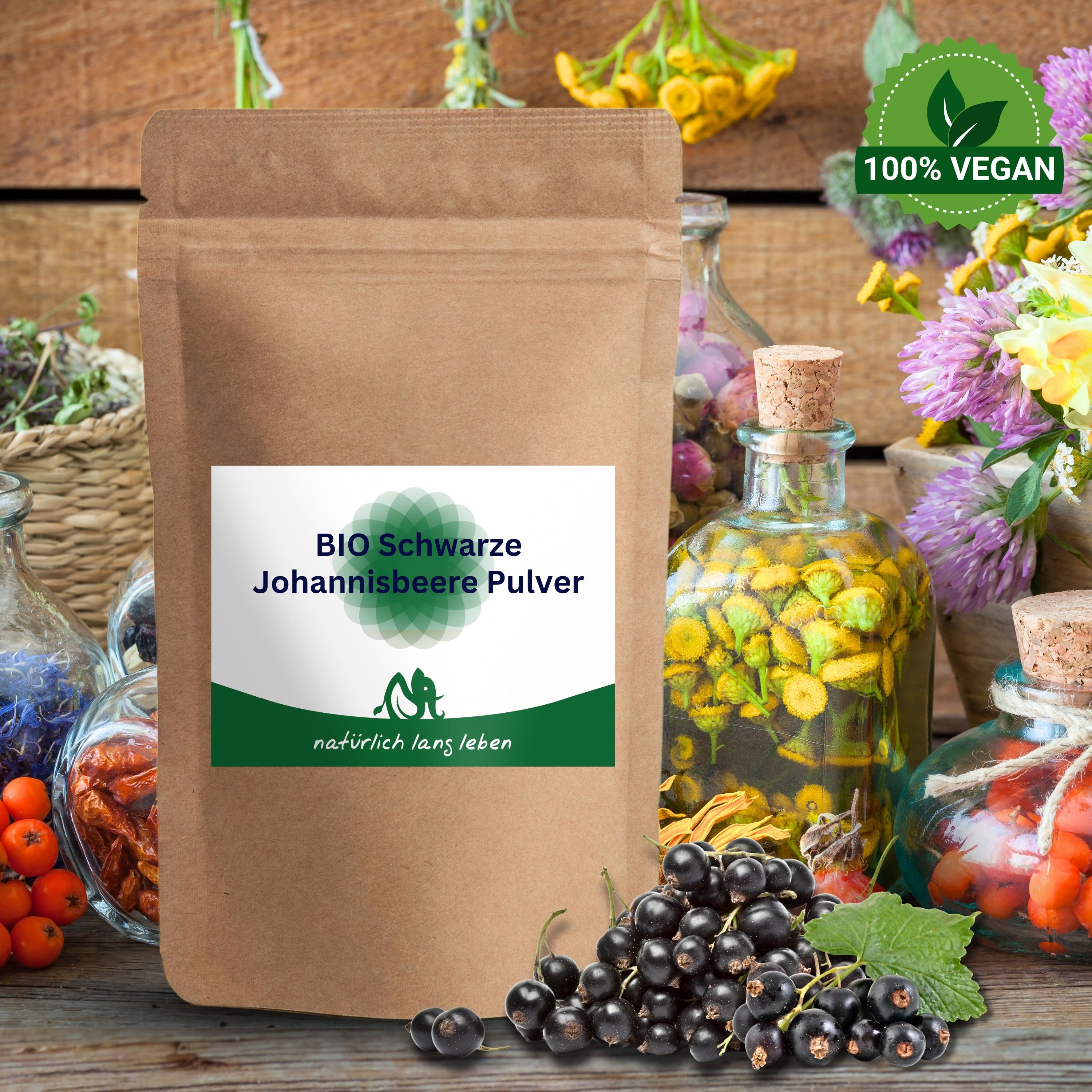 Beutel mit BIO Schwarze Johannisbeere Pulver, umgeben von schwarzen Johannisbeeren und Kräutern.
