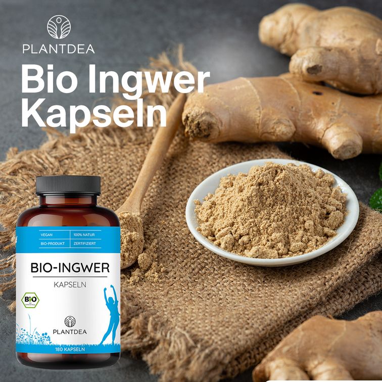 PlantDEA Bio Ingwer Kapseln
