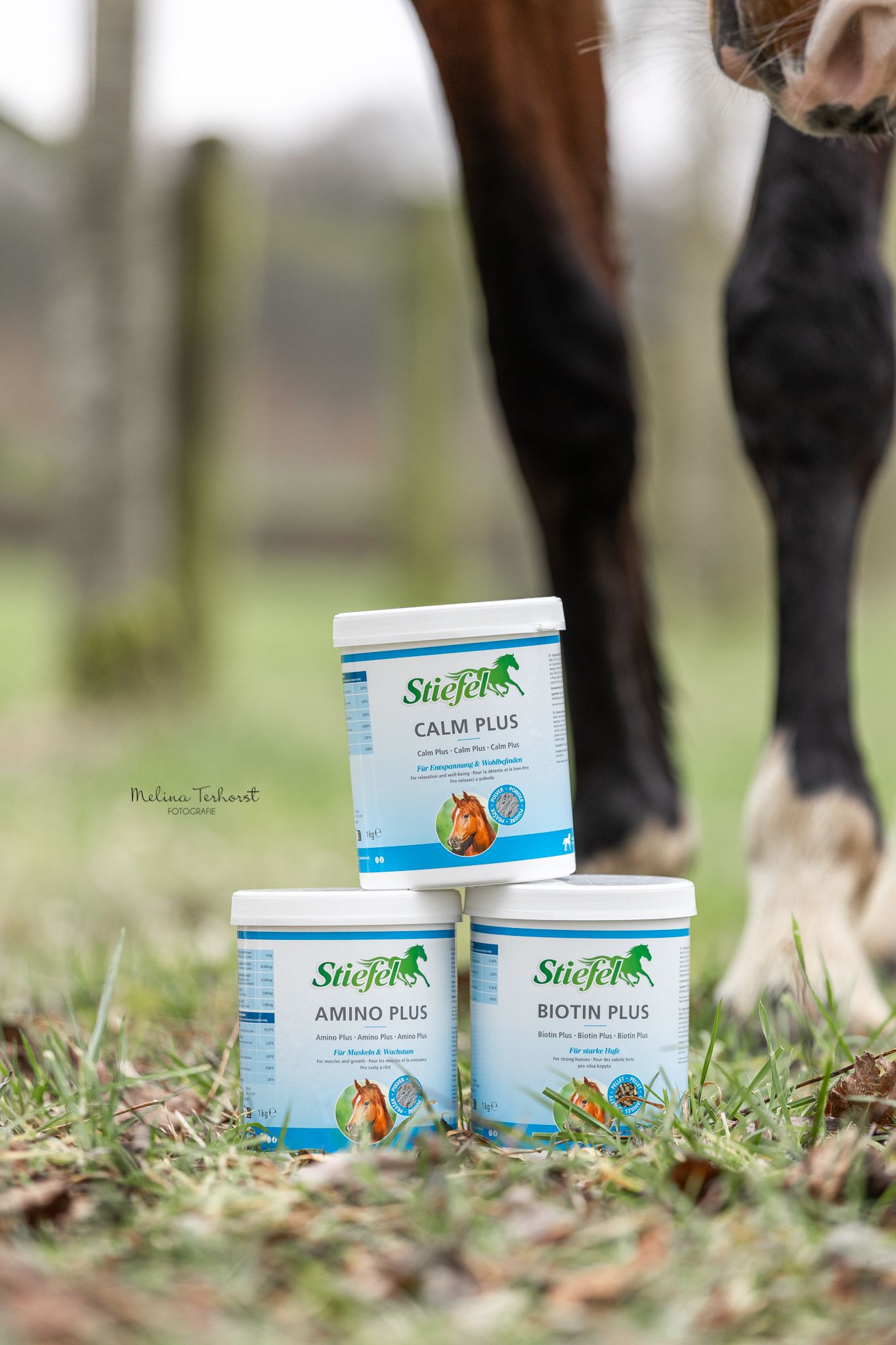 Drei weiße Behälter mit Deckel, gestapelt. Aufschrift: Stiefel, Calm Plus, Amino Plus, Biotin Plus. Pferde im Hintergrund.