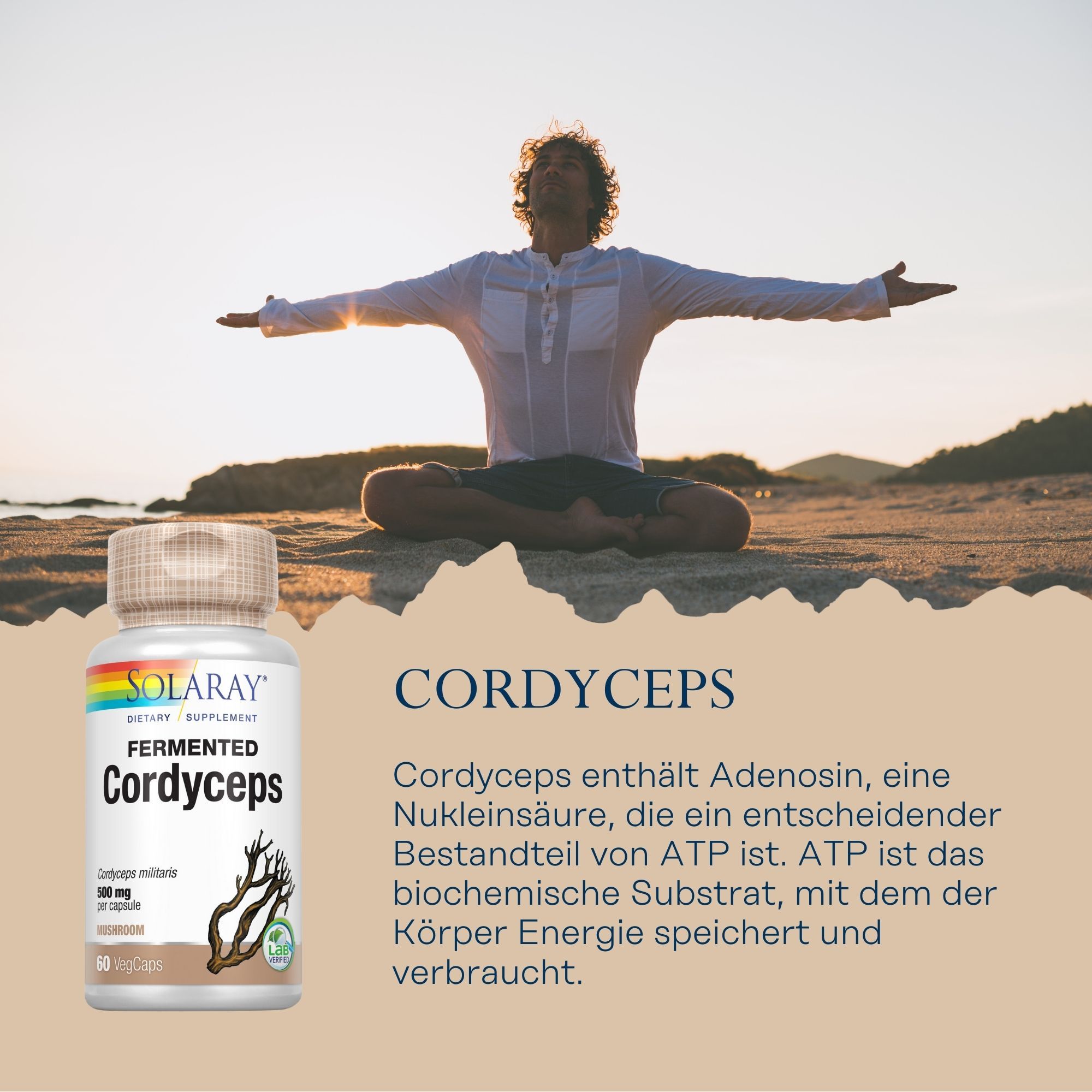 Solaray Cordyceps fermentiert